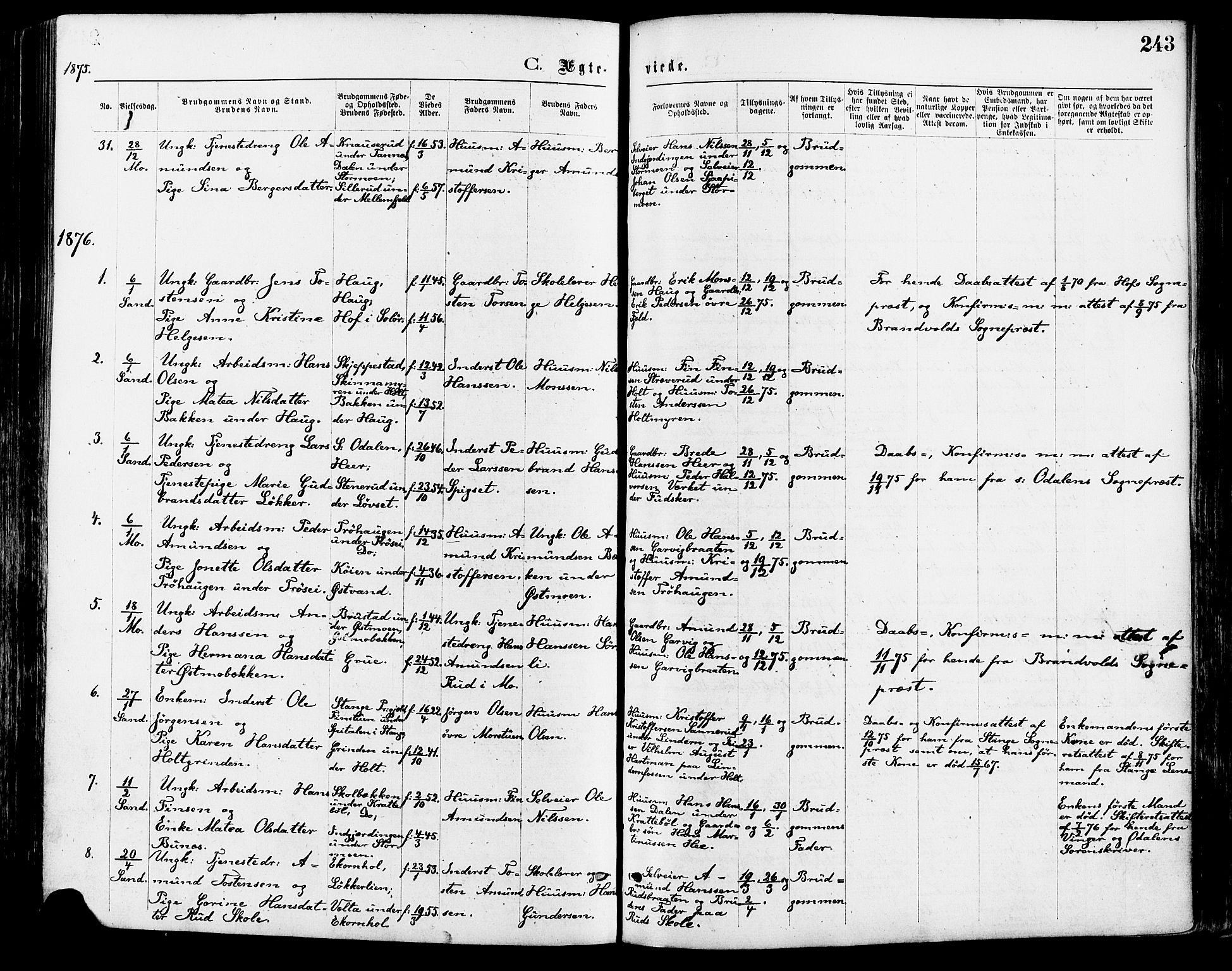 Nord-Odal prestekontor, AV/SAH-PREST-032/H/Ha/Haa/L0005: Parish register (official) no. 5, 1874-1885, p. 243