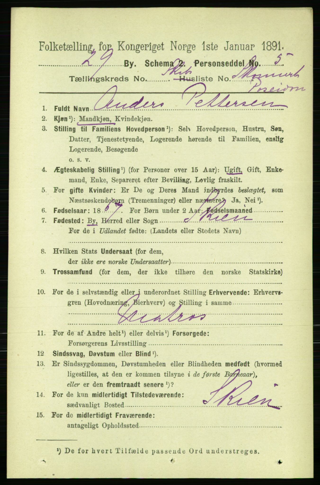 RA, 1891 census for 0805 Porsgrunn, 1891, p. 5454