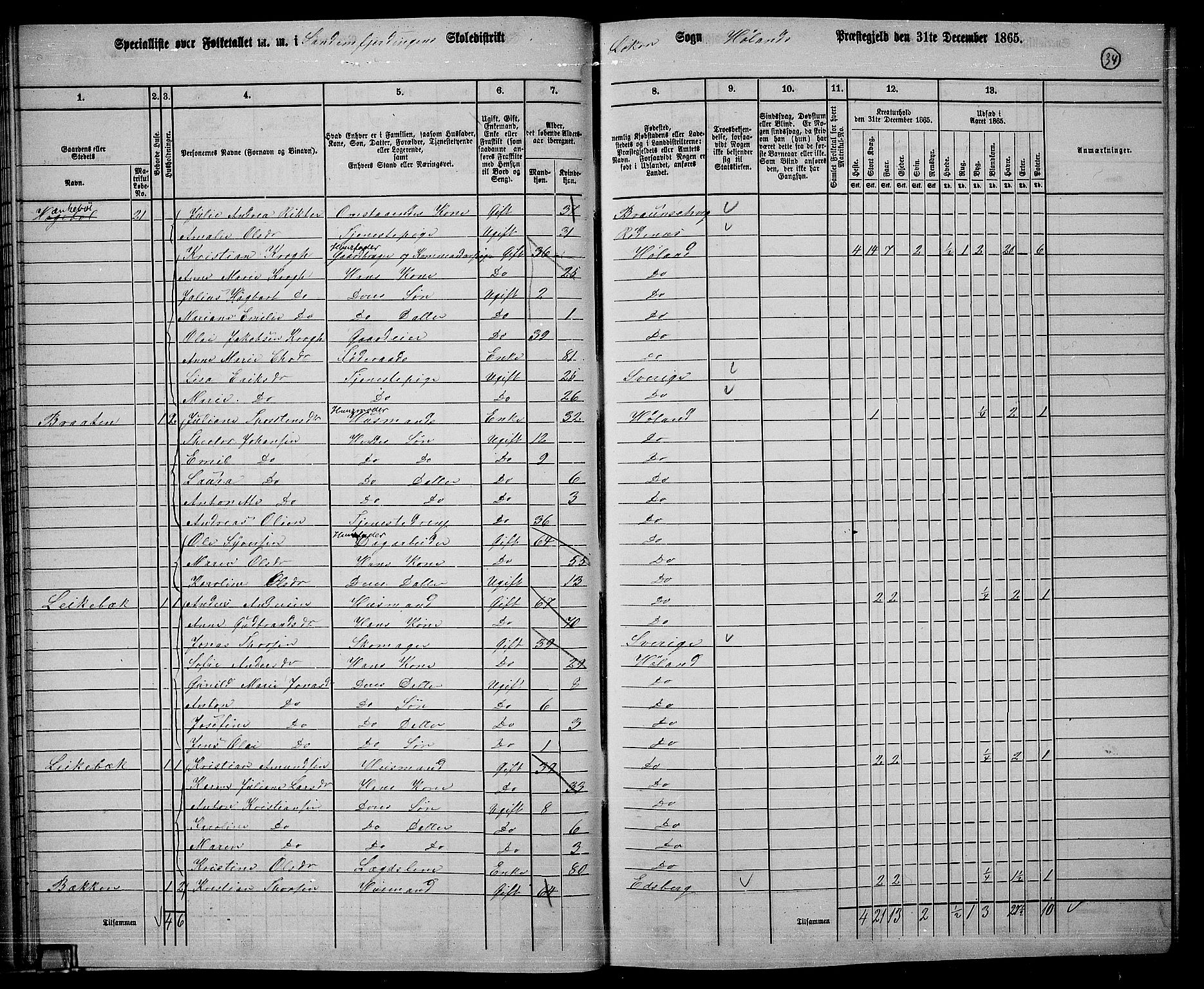 RA, 1865 census for Høland, 1865, p. 34