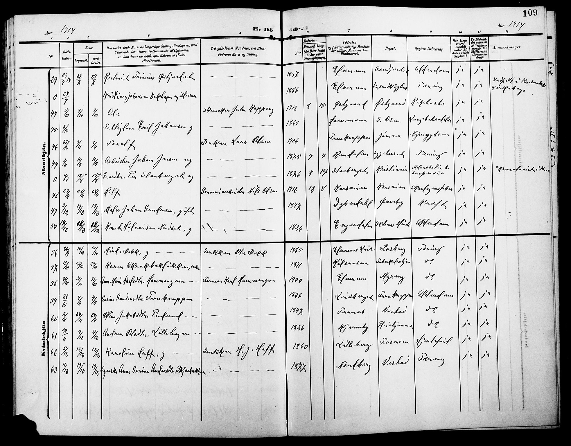 Elverum prestekontor, AV/SAH-PREST-044/H/Ha/Hab/L0009: Parish register (copy) no. 9, 1908-1921, p. 109