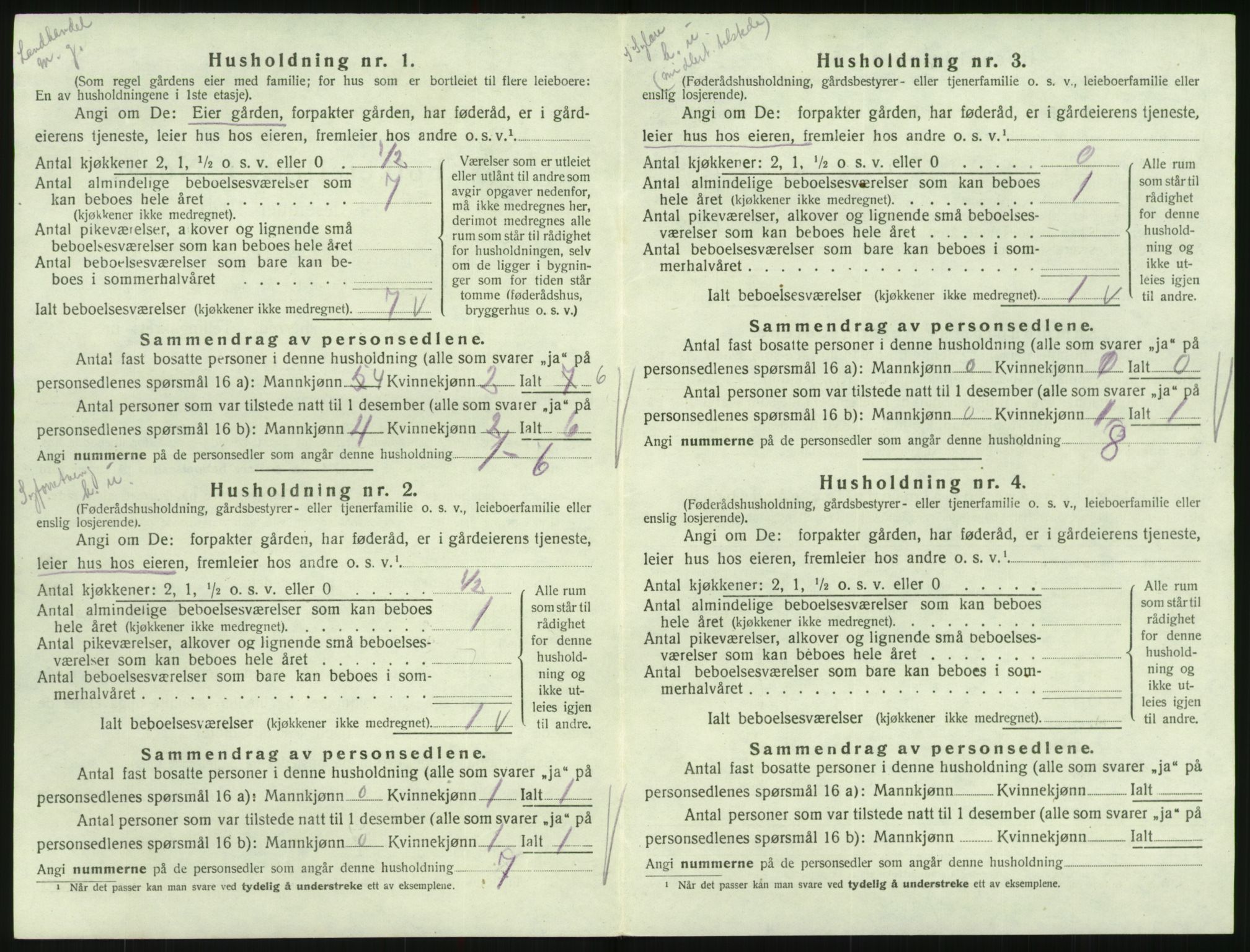 SAK, 1920 census for Hornnes, 1920, p. 164