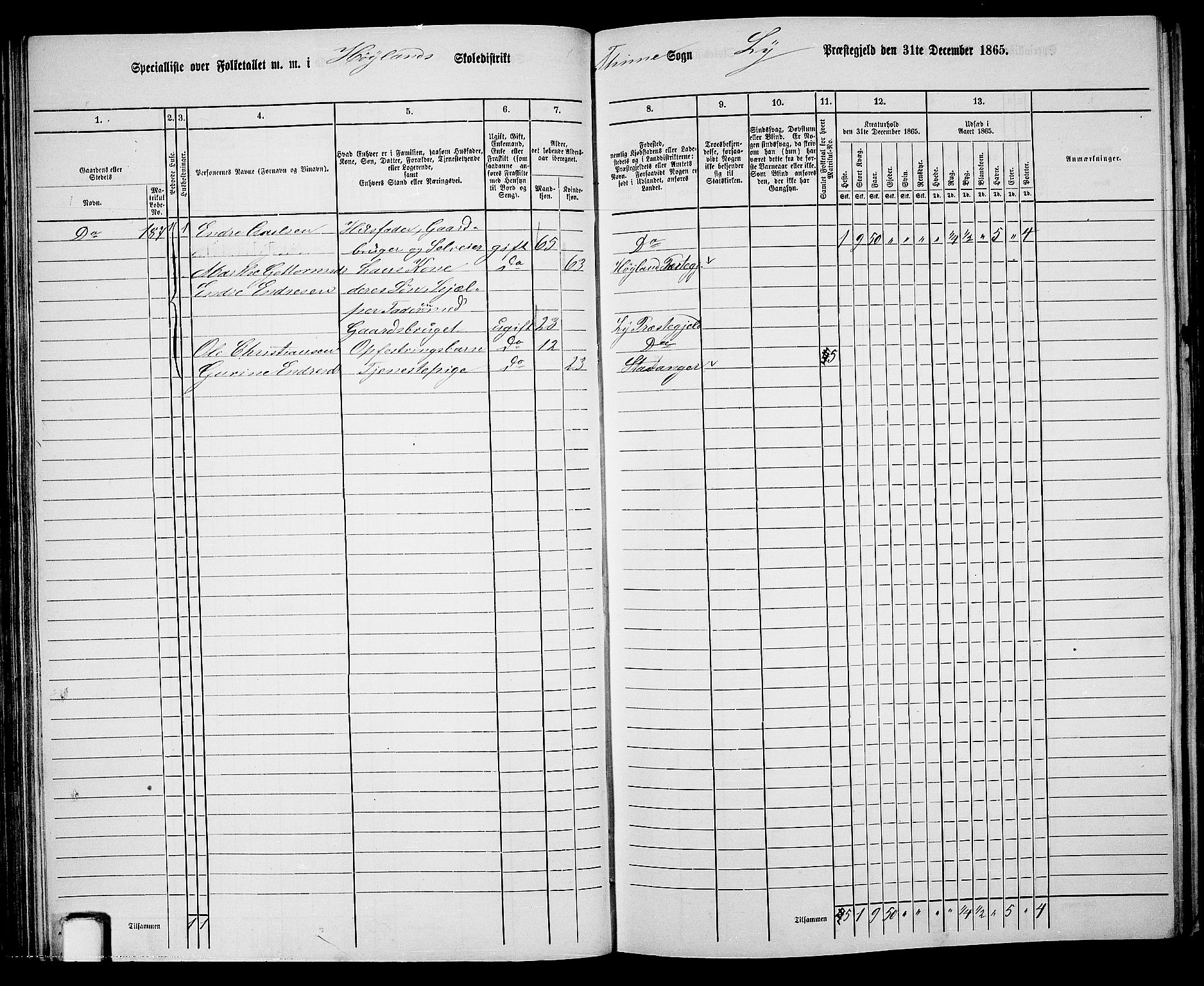 RA, 1865 census for Lye, 1865, p. 62