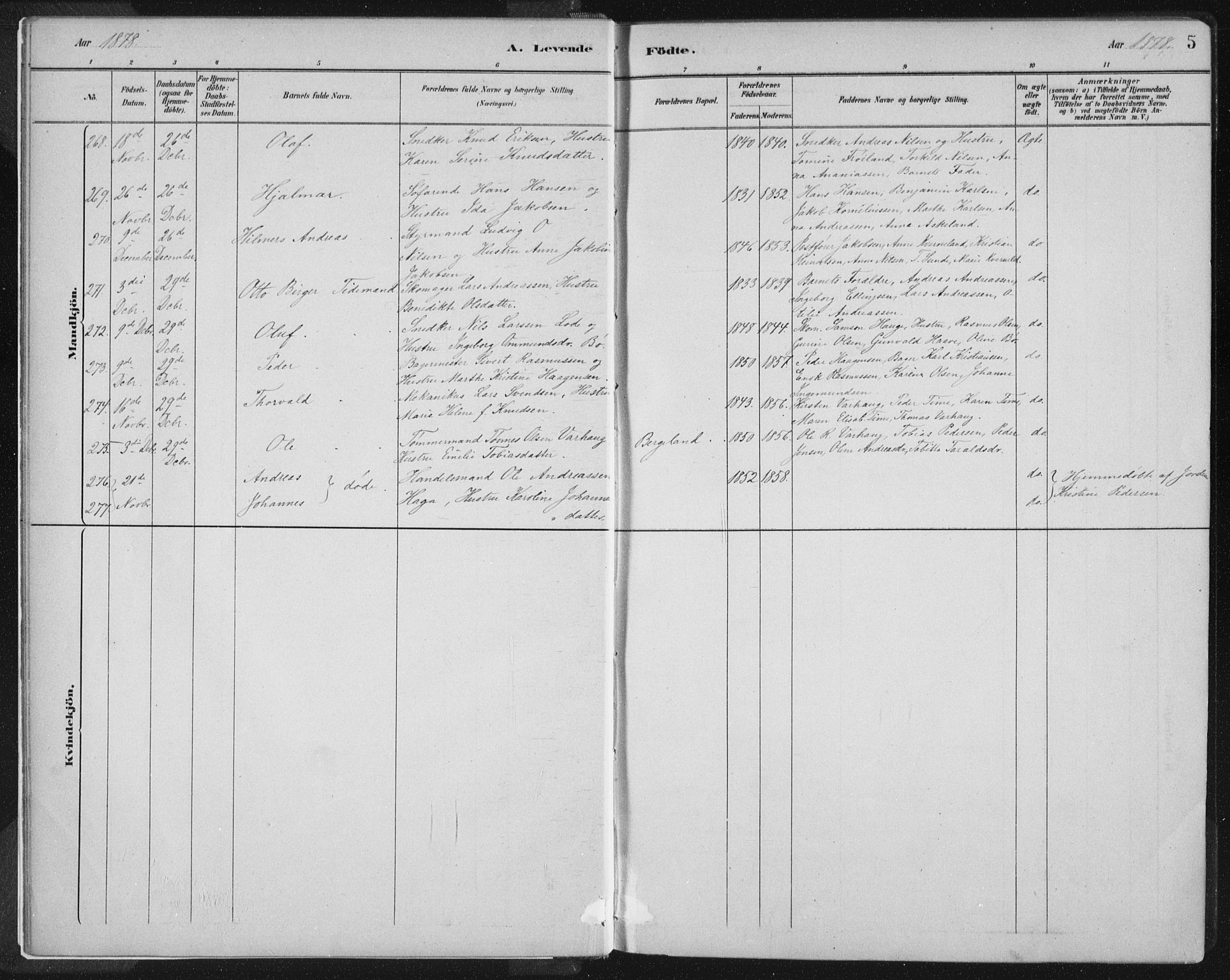 St. Petri sokneprestkontor, AV/SAST-A-101813/001/30/30BB/L0004: Parish register (copy) no. B 4, 1878-1890, p. 5