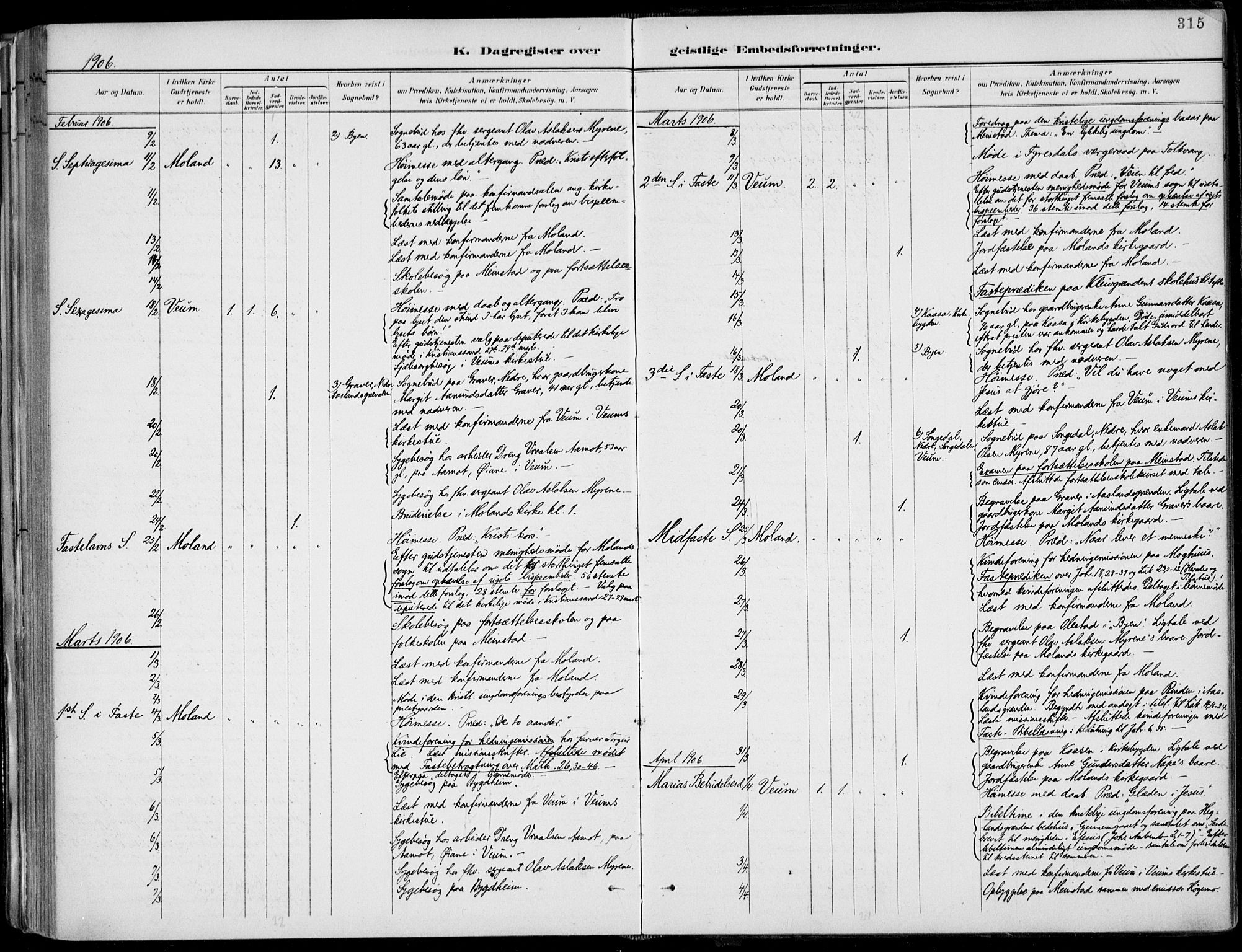 Fyresdal kirkebøker, AV/SAKO-A-263/F/Fa/L0007: Parish register (official) no. I 7, 1887-1914, p. 315