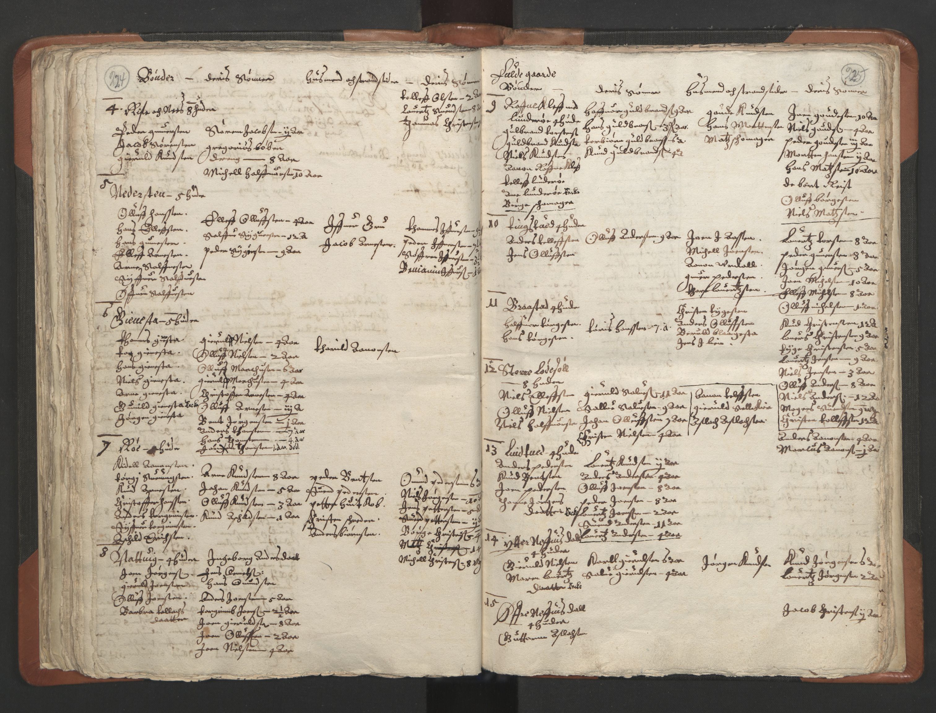 RA, Vicar's Census 1664-1666, no. 13: Nedenes deanery, 1664-1666, p. 224-225