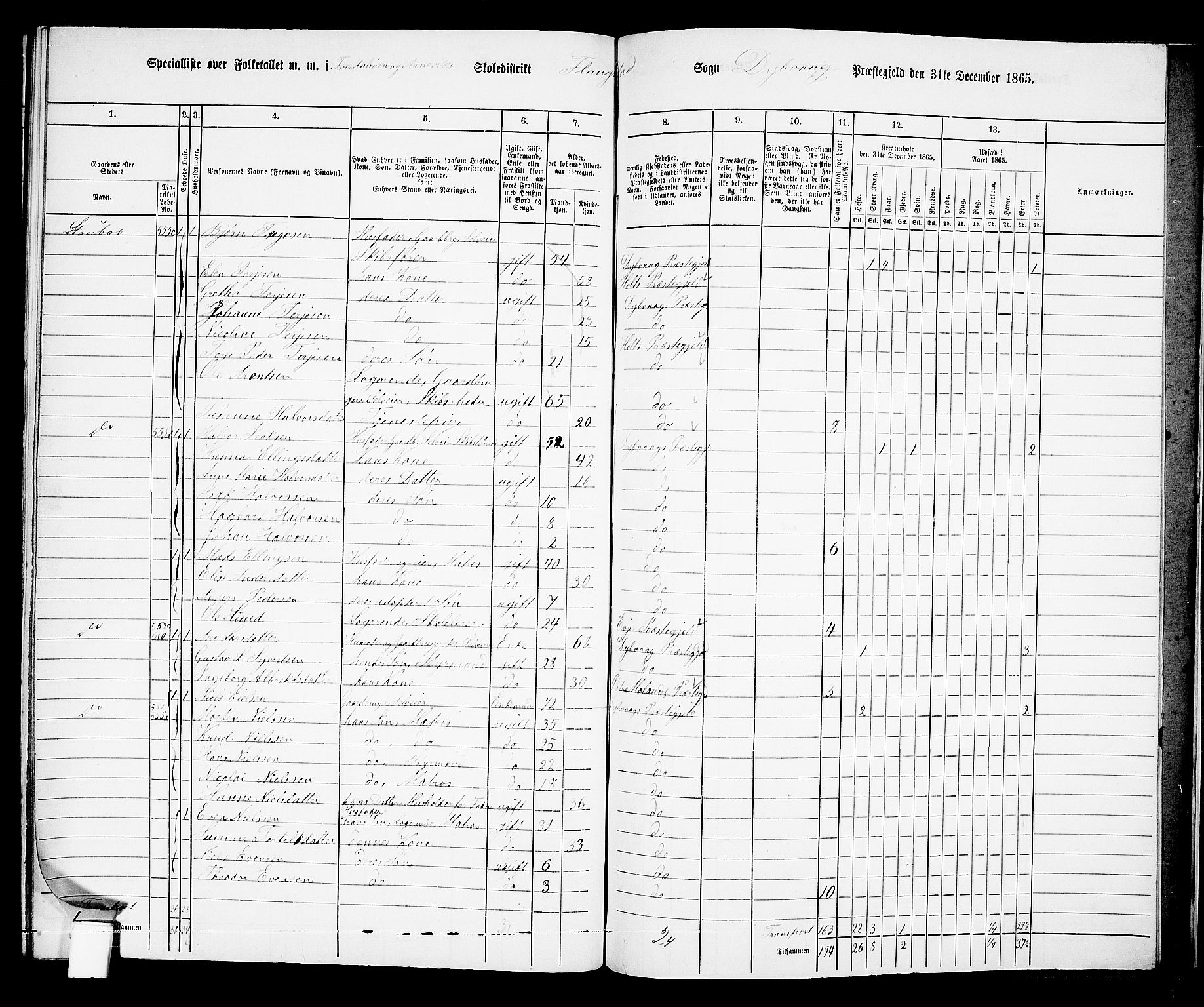 RA, 1865 census for Dypvåg, 1865, p. 163
