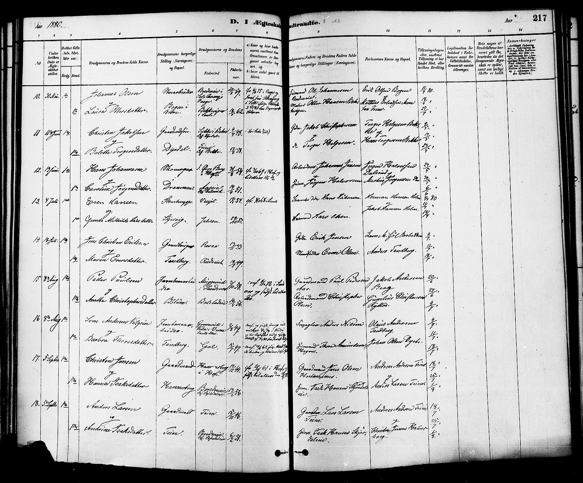 Sande Kirkebøker, AV/SAKO-A-53/F/Fa/L0006: Parish register (official) no. 6, 1878-1888, p. 217