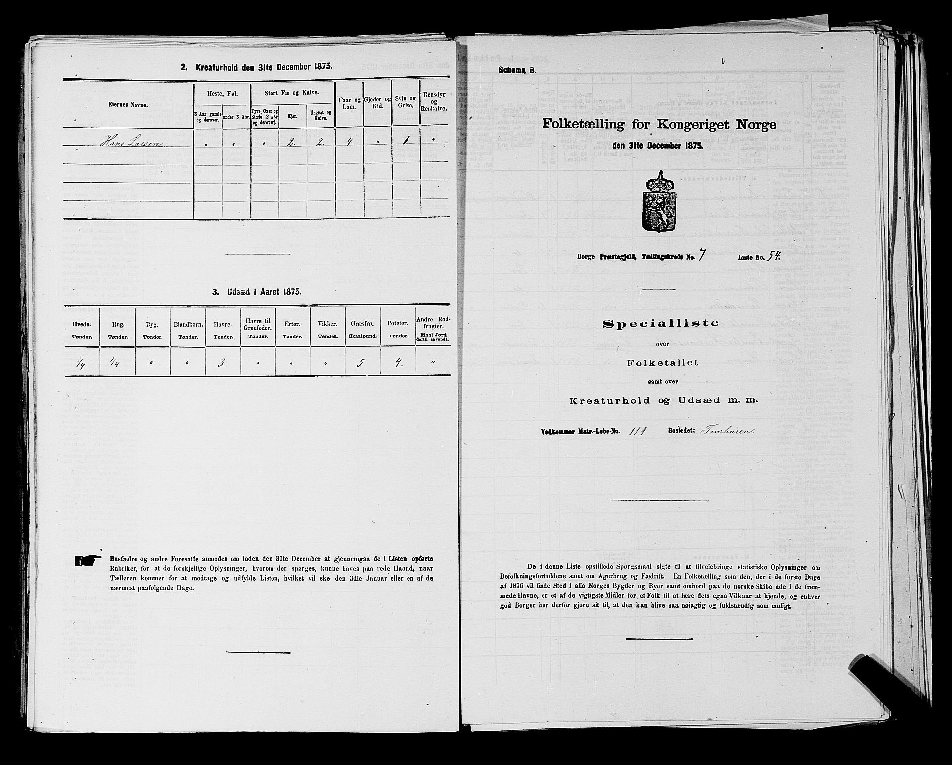 RA, 1875 census for 0113P Borge, 1875, p. 1085