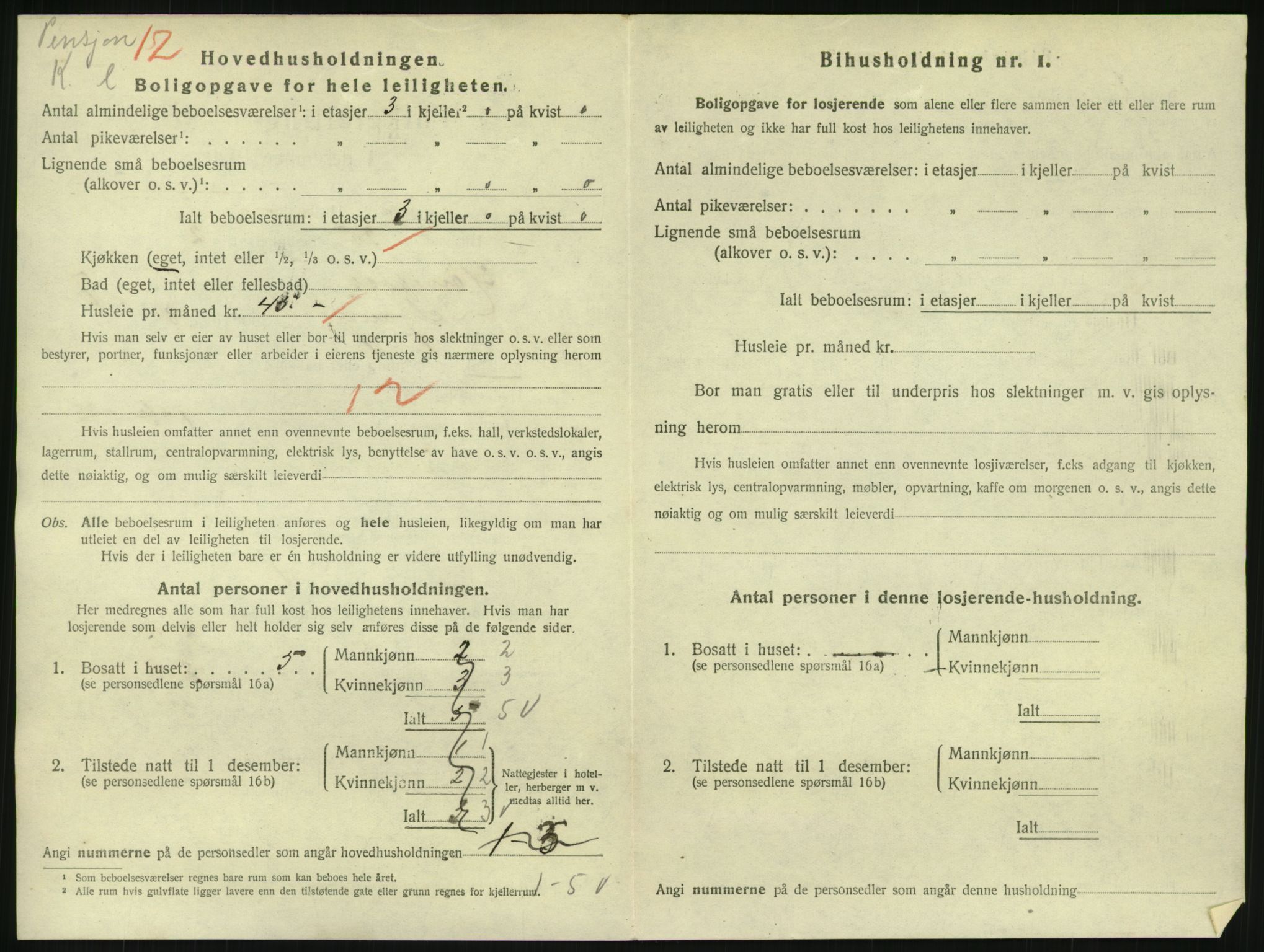 SAKO, 1920 census for Hønefoss, 1920, p. 2263