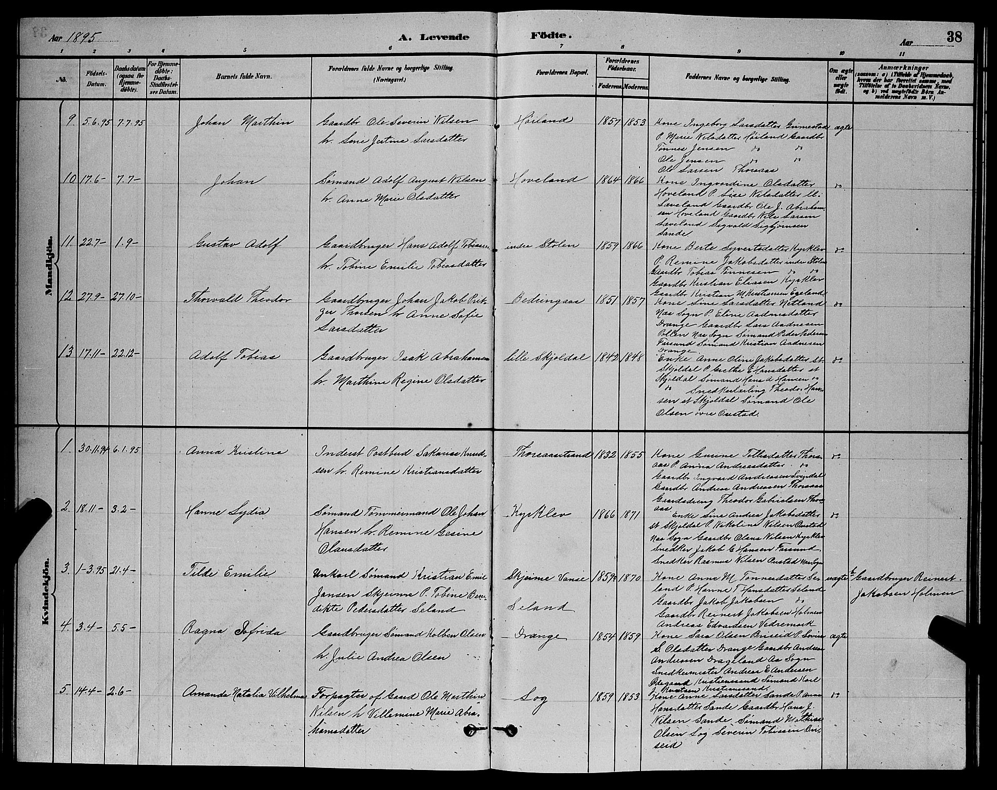 Herad sokneprestkontor, AV/SAK-1111-0018/F/Fb/Fba/L0004: Parish register (copy) no. B 4, 1882-1899, p. 38