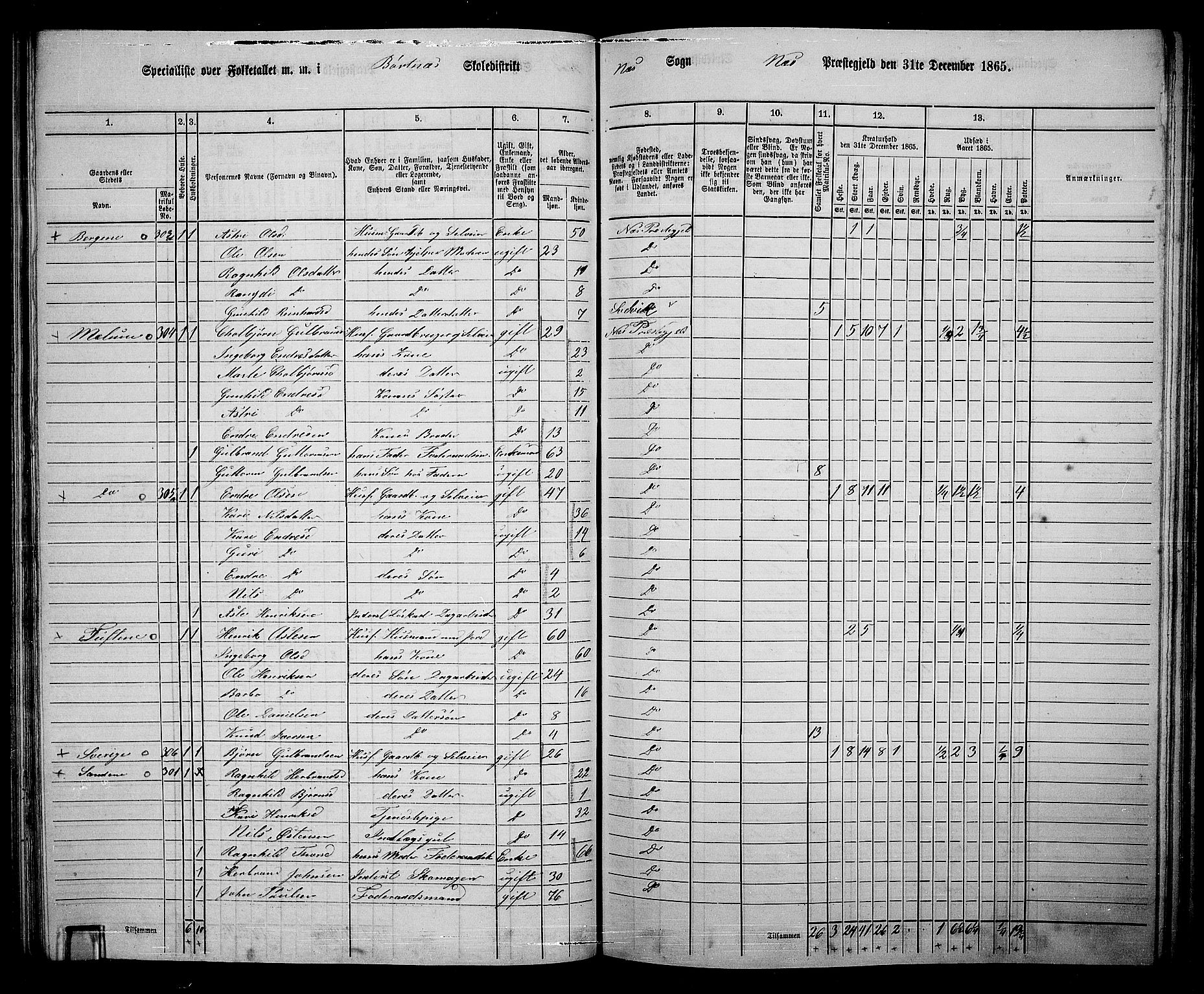 RA, 1865 census for Nes, 1865, p. 122