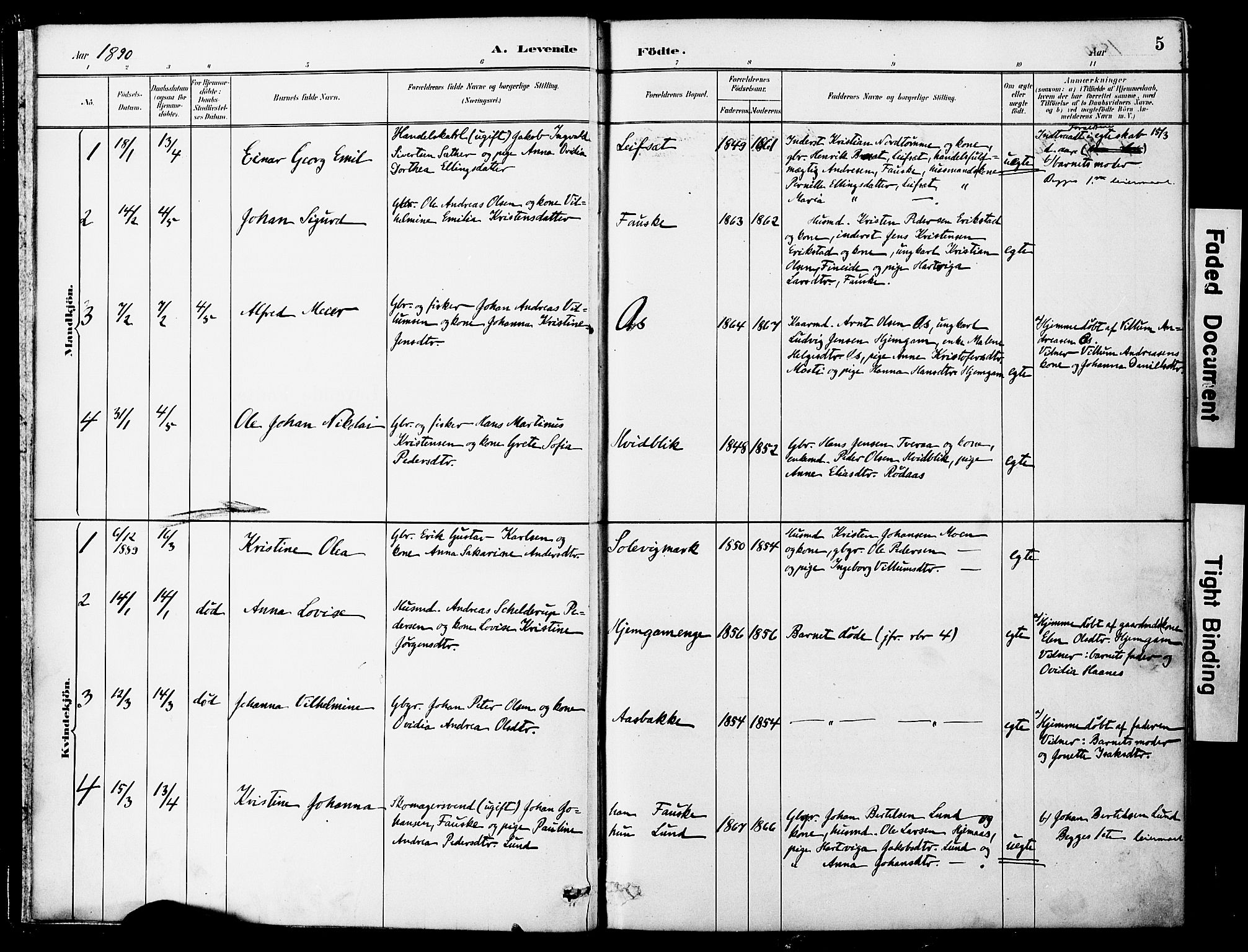 Ministerialprotokoller, klokkerbøker og fødselsregistre - Nordland, SAT/A-1459/849/L0690: Parish register (official) no. 849A02, 1890-1897, p. 5