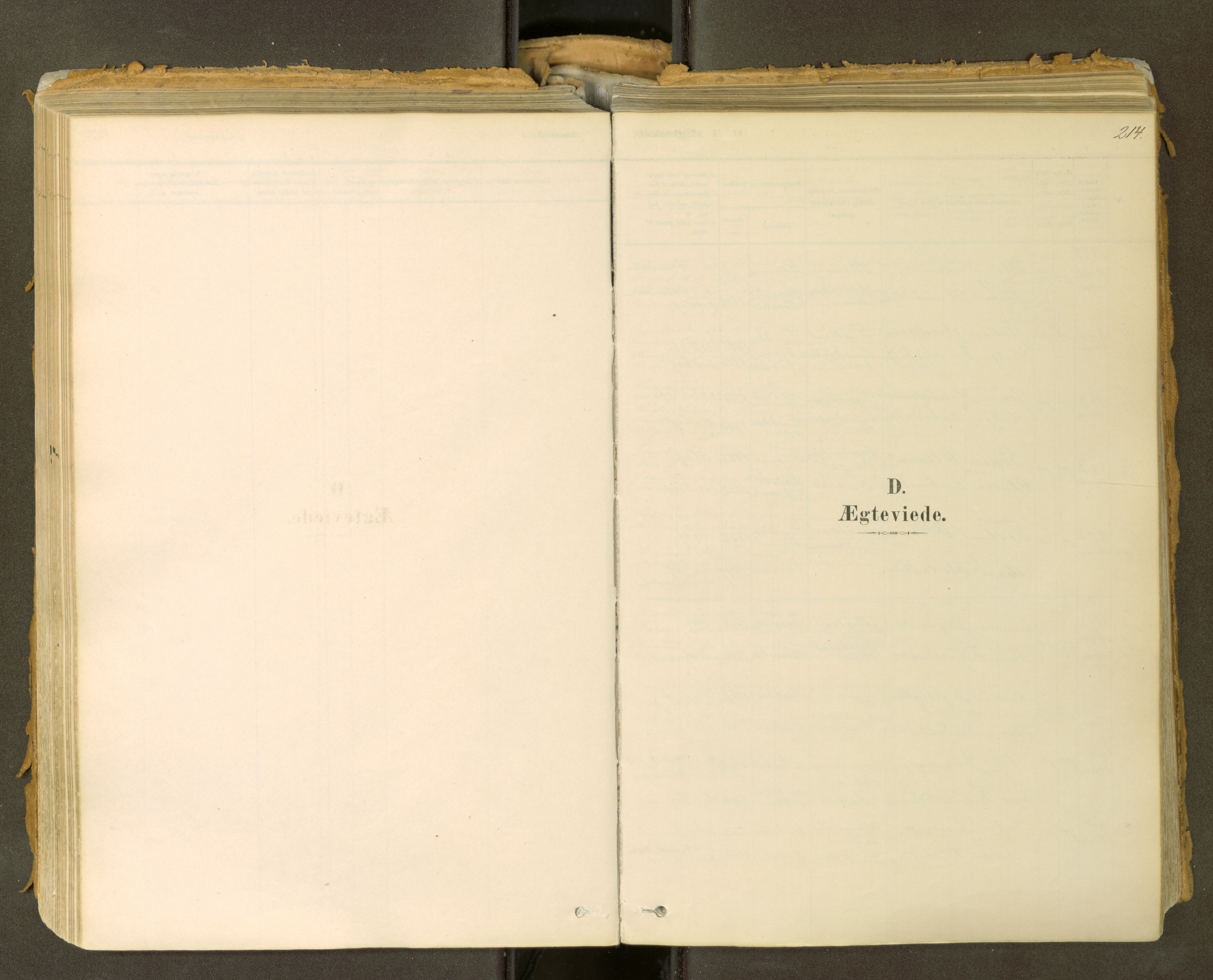Sunndal sokneprestkontor, SAT/A-1085/1/I/I1/I1a: Parish register (official) no. 2, 1877-1914, p. 214