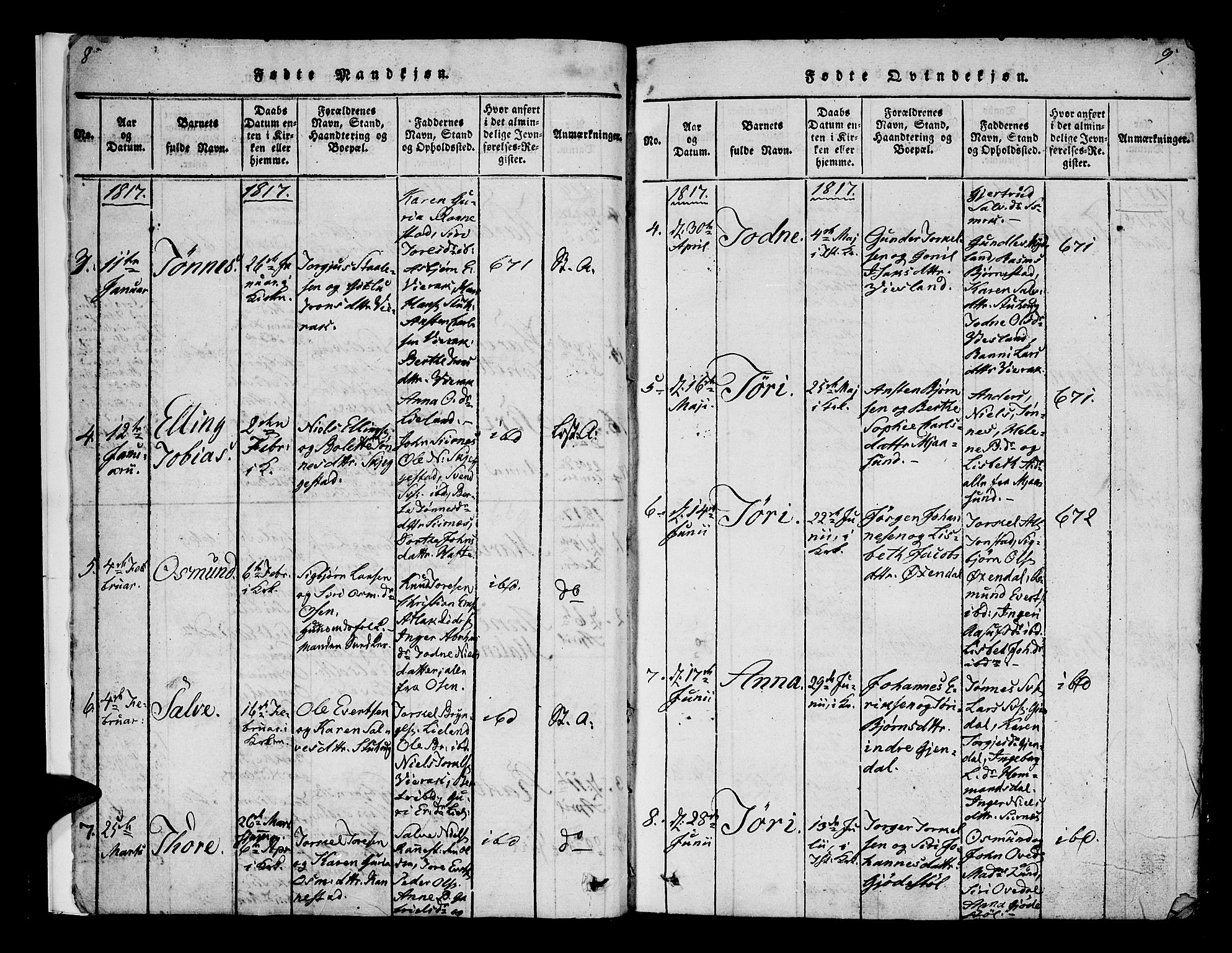 Bakke sokneprestkontor, SAK/1111-0002/F/Fa/Faa/L0003: Parish register (official) no. A 3, 1815-1835, p. 8-9