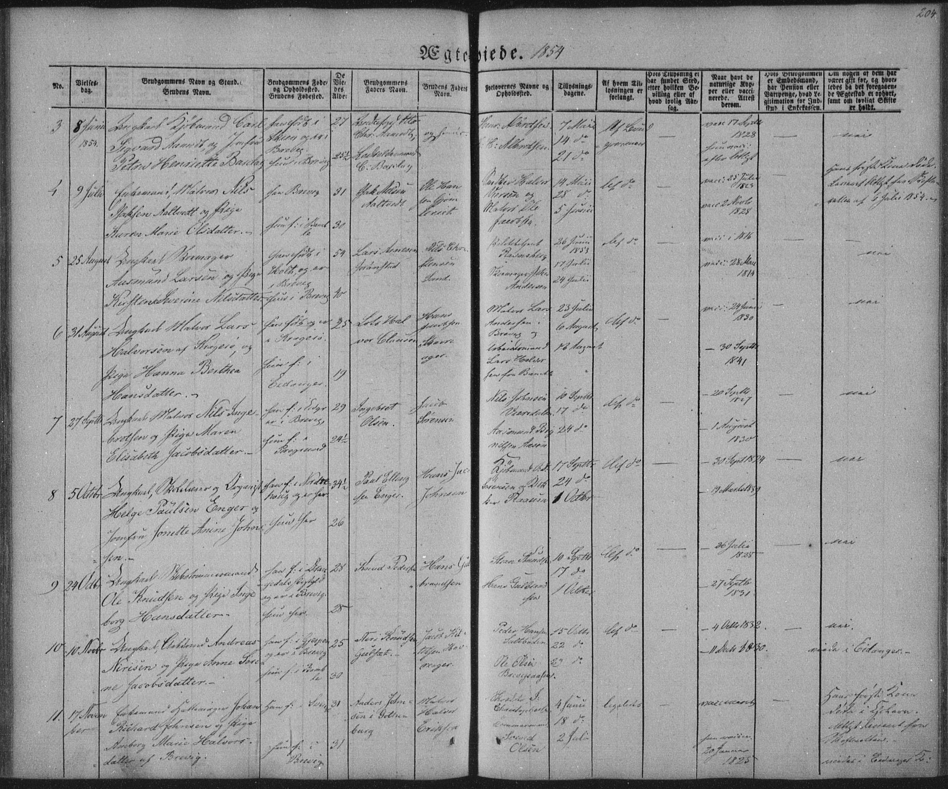 Brevik kirkebøker, AV/SAKO-A-255/F/Fa/L0005: Parish register (official) no. 5, 1847-1865, p. 204