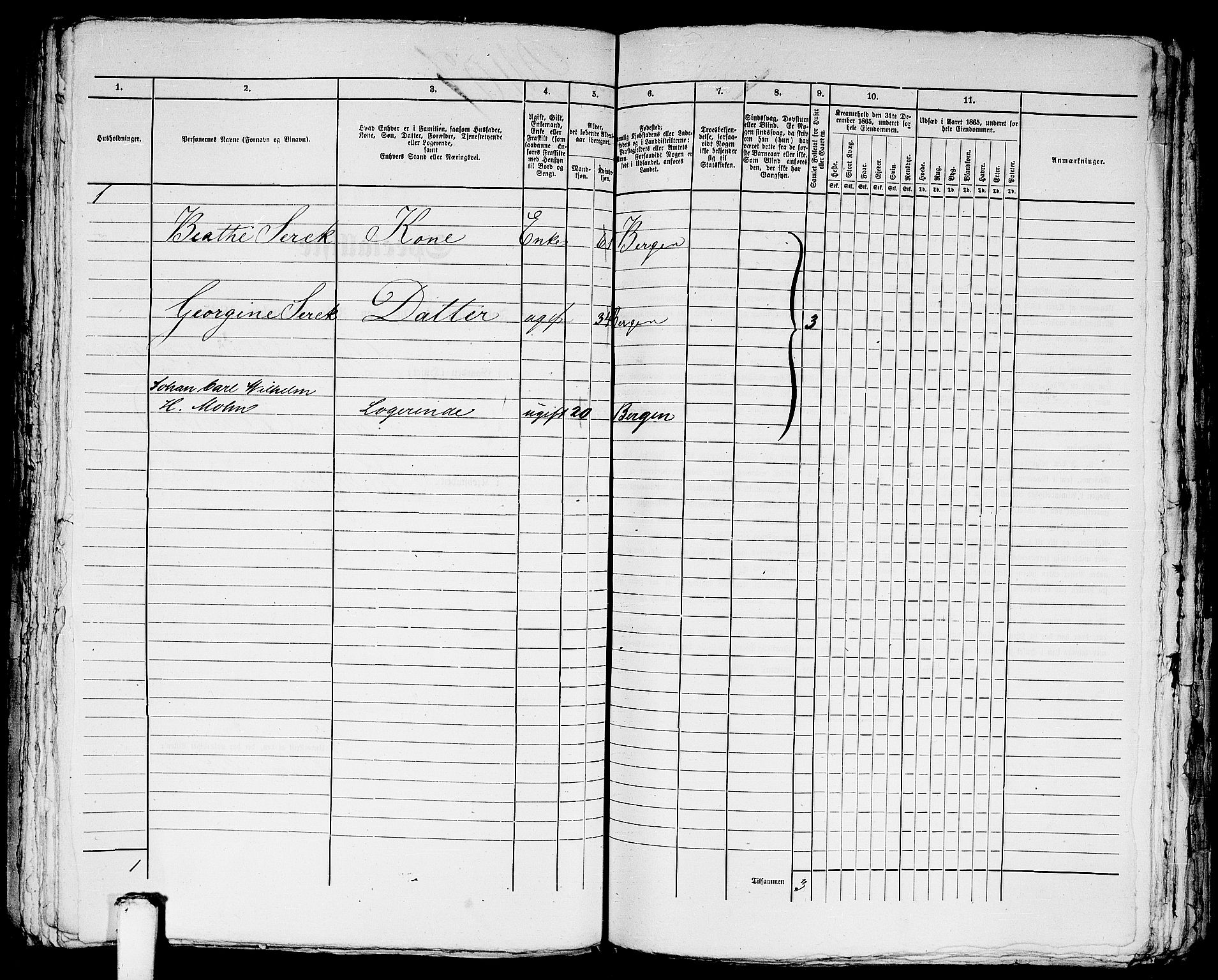 RA, 1865 census for Bergen, 1865, p. 4918