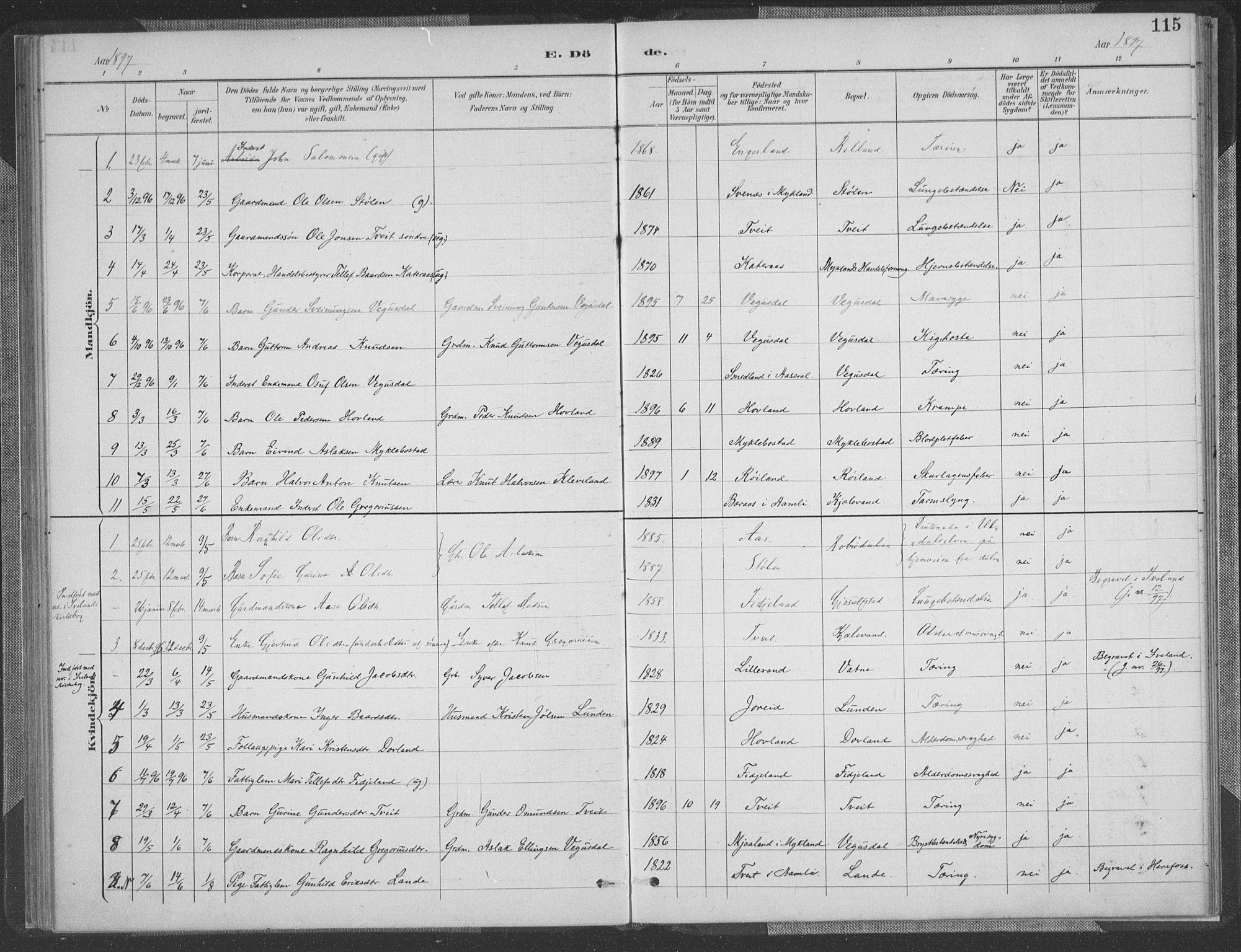 Herefoss sokneprestkontor, AV/SAK-1111-0019/F/Fa/Fab/L0004: Parish register (official) no. A 4, 1887-1909, p. 115