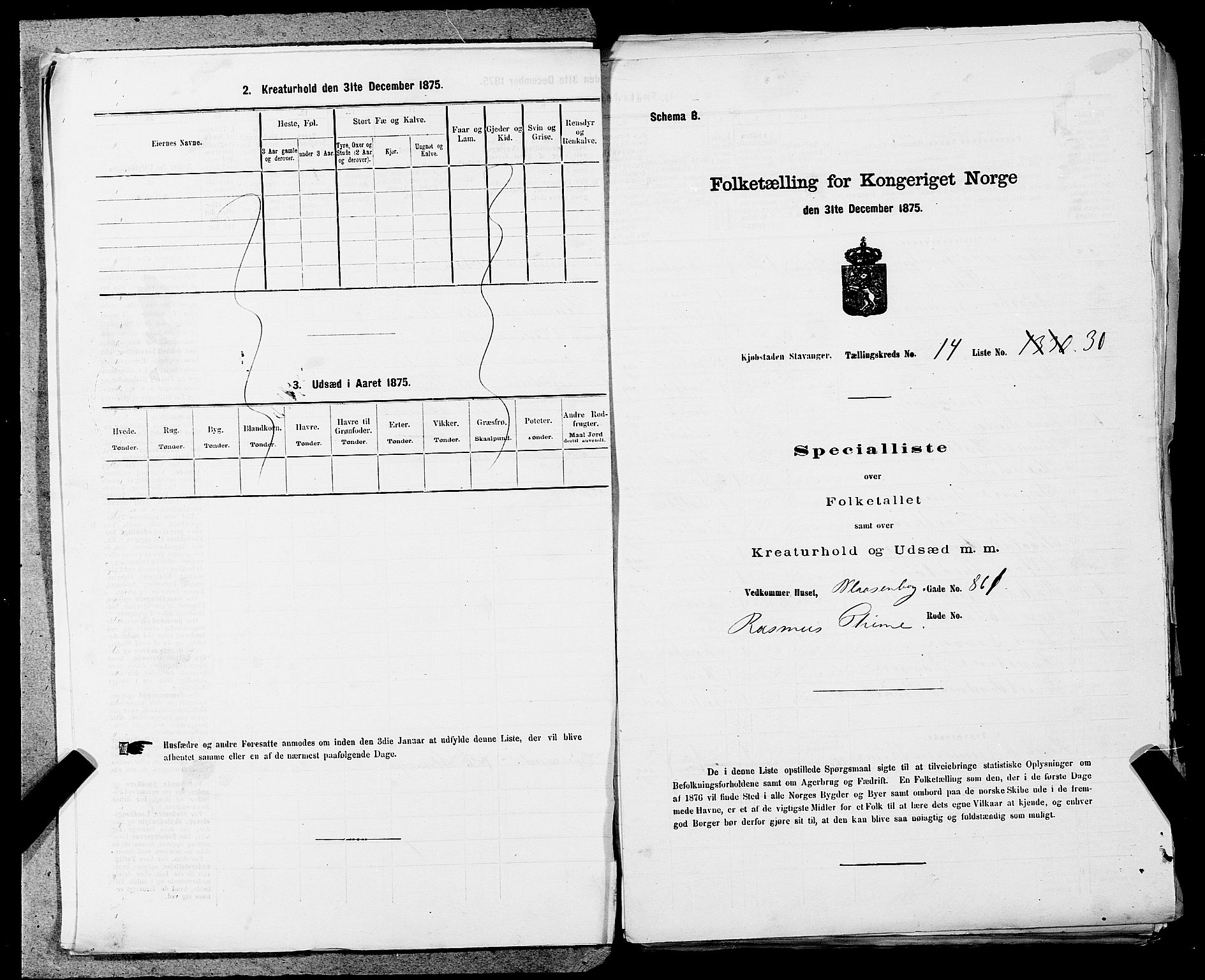 SAST, 1875 census for 1103 Stavanger, 1875, p. 2795