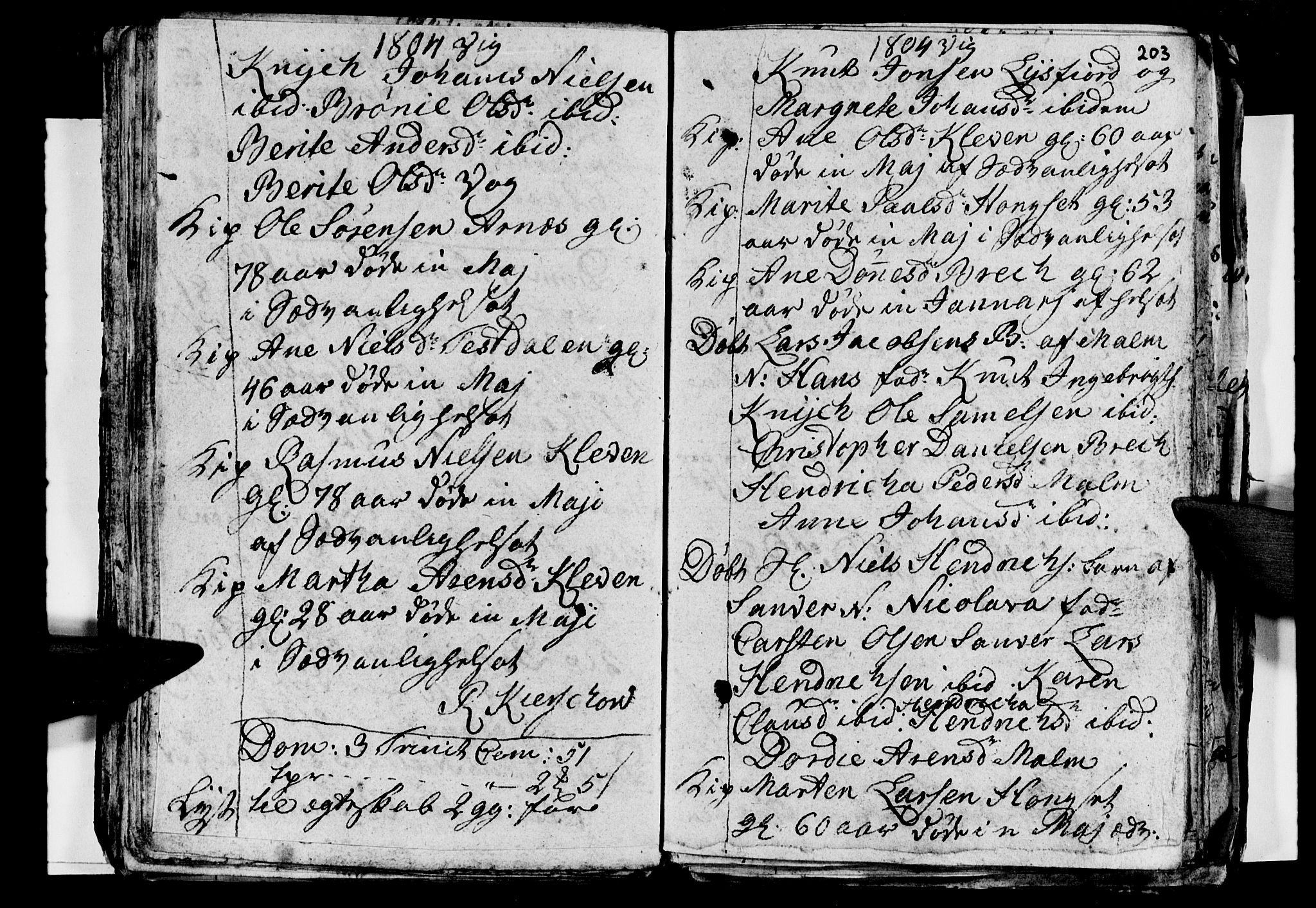 Ministerialprotokoller, klokkerbøker og fødselsregistre - Nordland, AV/SAT-A-1459/812/L0184: Parish register (copy) no. 812C02, 1793-1809, p. 203