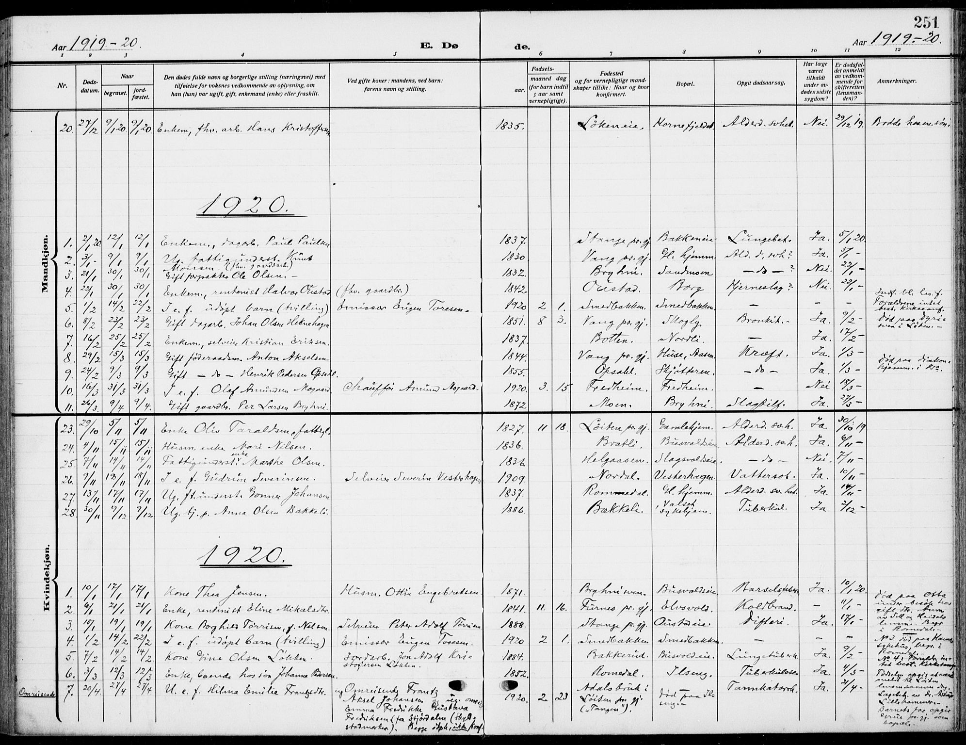 Romedal prestekontor, AV/SAH-PREST-004/K/L0012: Parish register (official) no. 12, 1913-1935, p. 251