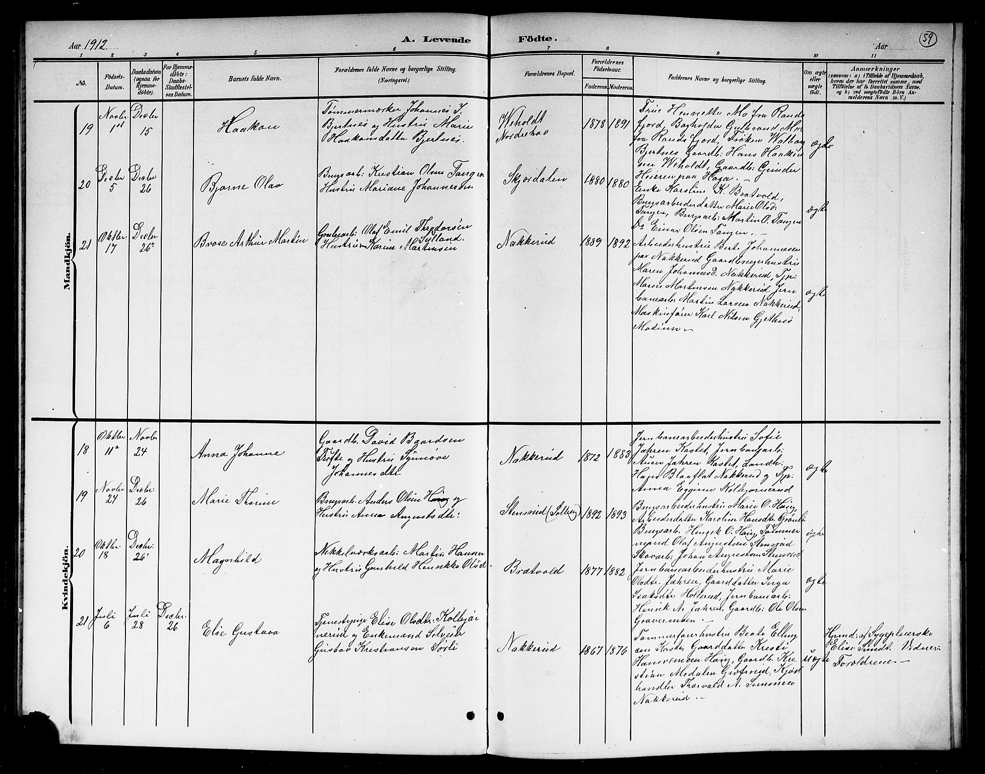 Hole kirkebøker, AV/SAKO-A-228/G/Gb/L0004: Parish register (copy) no. II 4, 1901-1916, p. 59