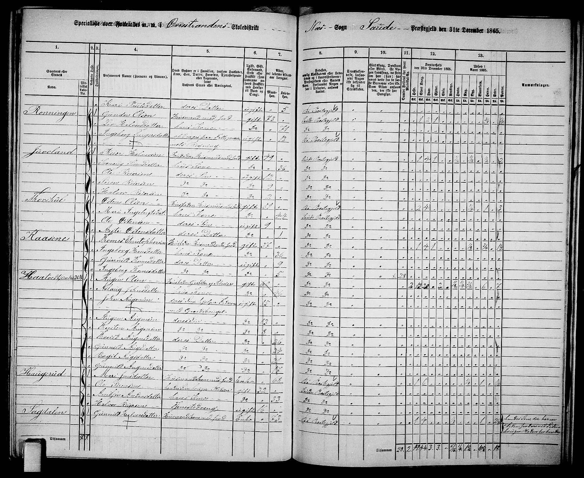 RA, 1865 census for Sauherad, 1865, p. 156