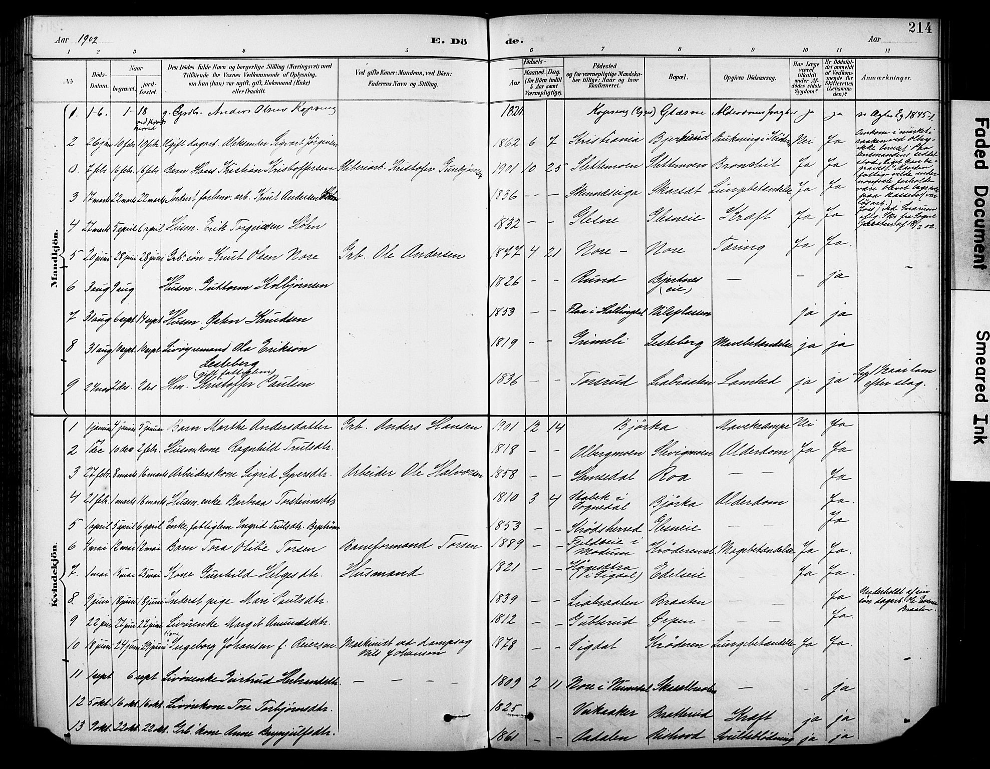 Krødsherad kirkebøker, AV/SAKO-A-19/G/Ga/L0002: Parish register (copy) no. 2, 1894-1918, p. 214