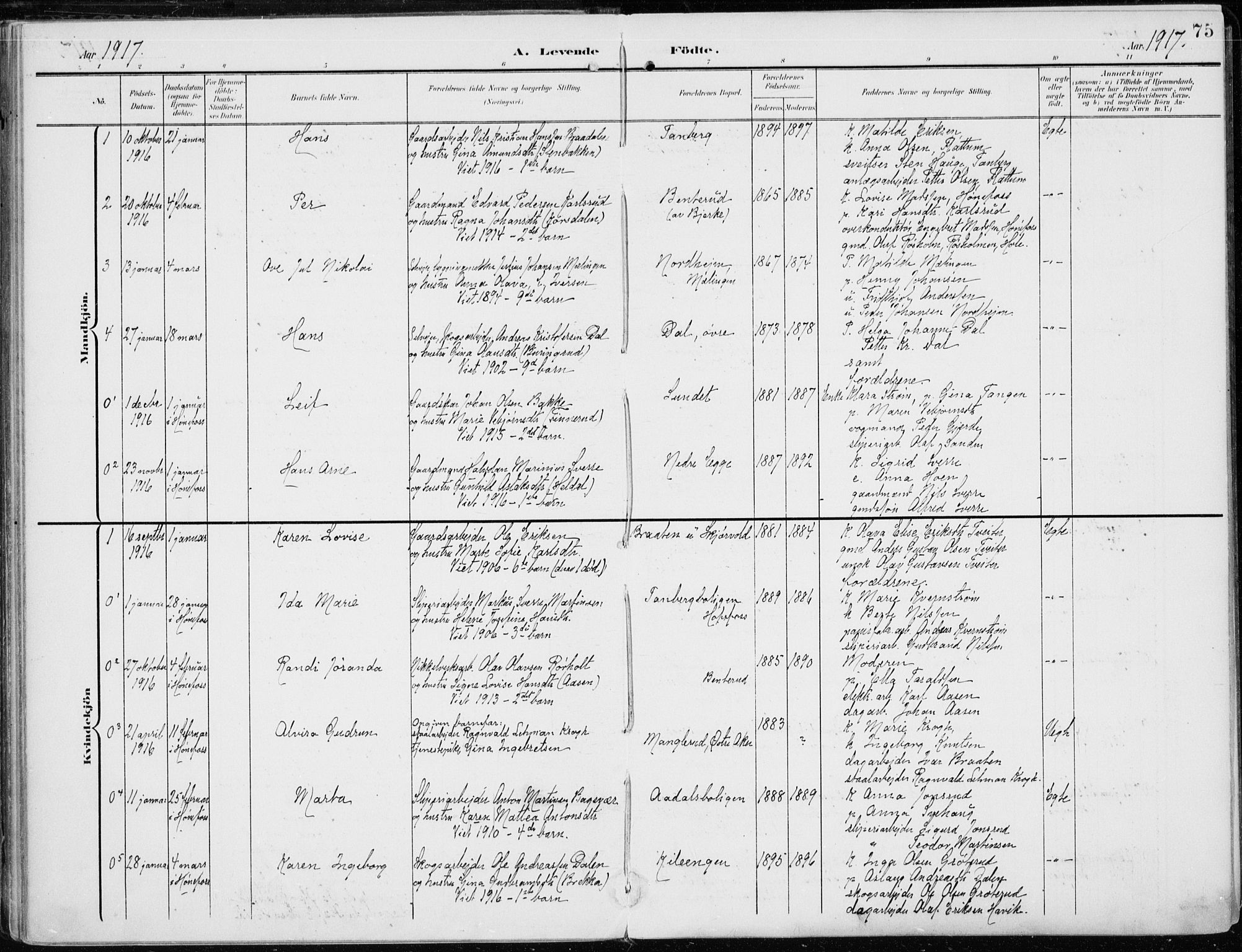 Norderhov kirkebøker, AV/SAKO-A-237/F/Fa/L0017: Parish register (official) no. 17, 1903-1919, p. 75