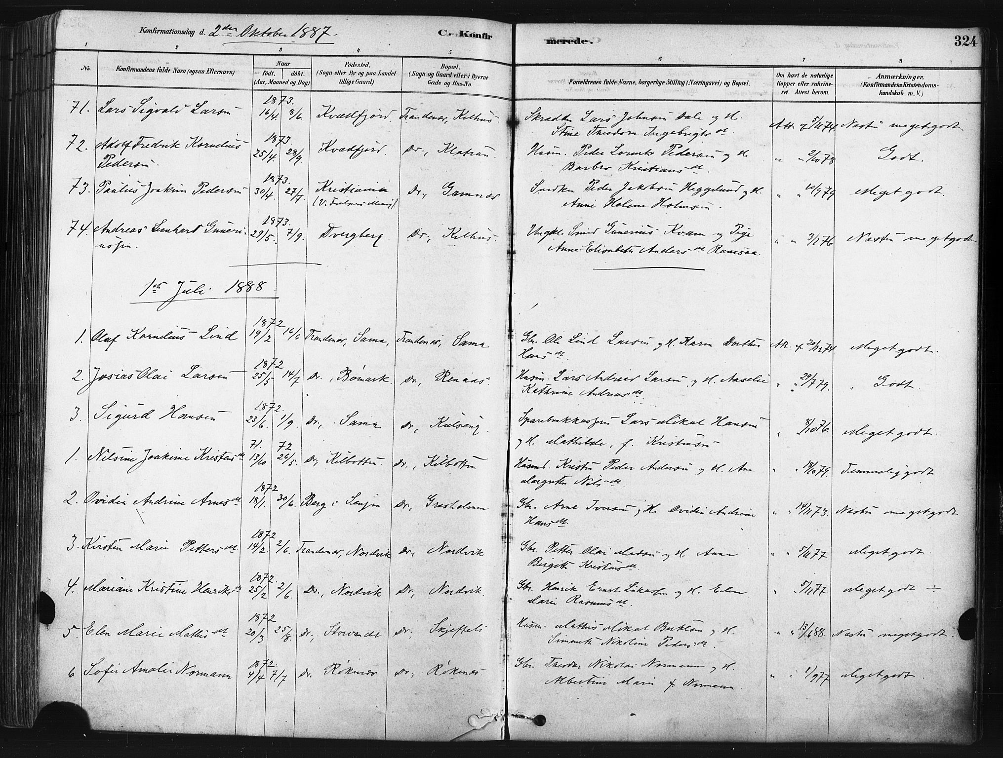 Trondenes sokneprestkontor, SATØ/S-1319/H/Ha/L0014kirke: Parish register (official) no. 14, 1878-1889, p. 324