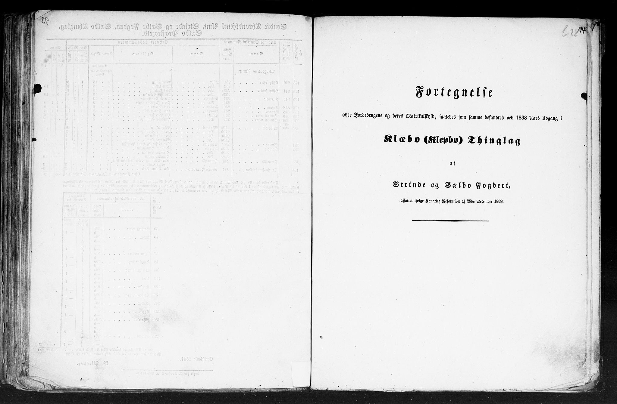 Rygh, AV/RA-PA-0034/F/Fb/L0014: Matrikkelen for 1838 - Søndre Trondhjems amt (Sør-Trøndelag fylke), 1838, p. 94a