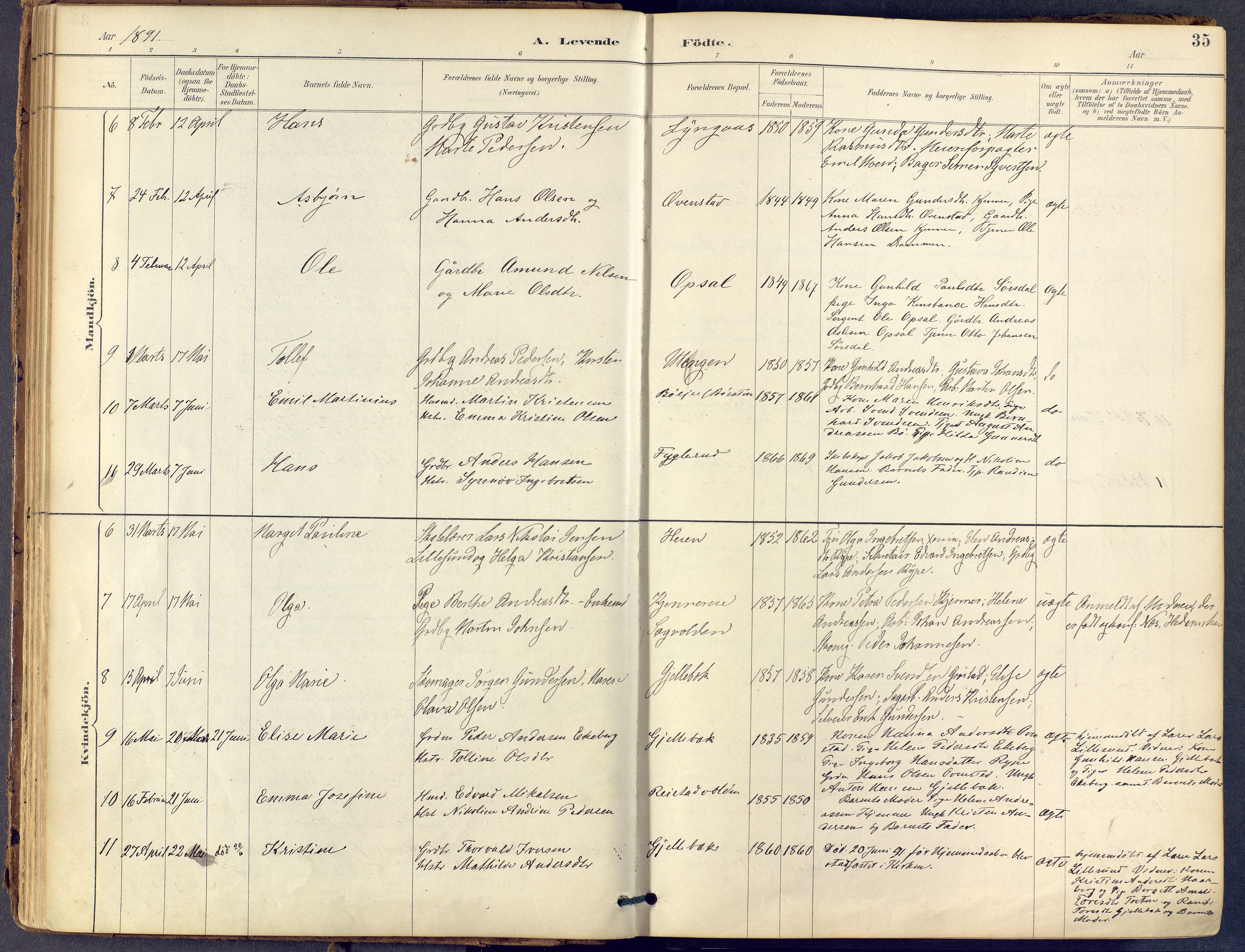 Lier kirkebøker, SAKO/A-230/F/Fb/L0001: Parish register (official) no. II 1, 1883-1910, p. 35
