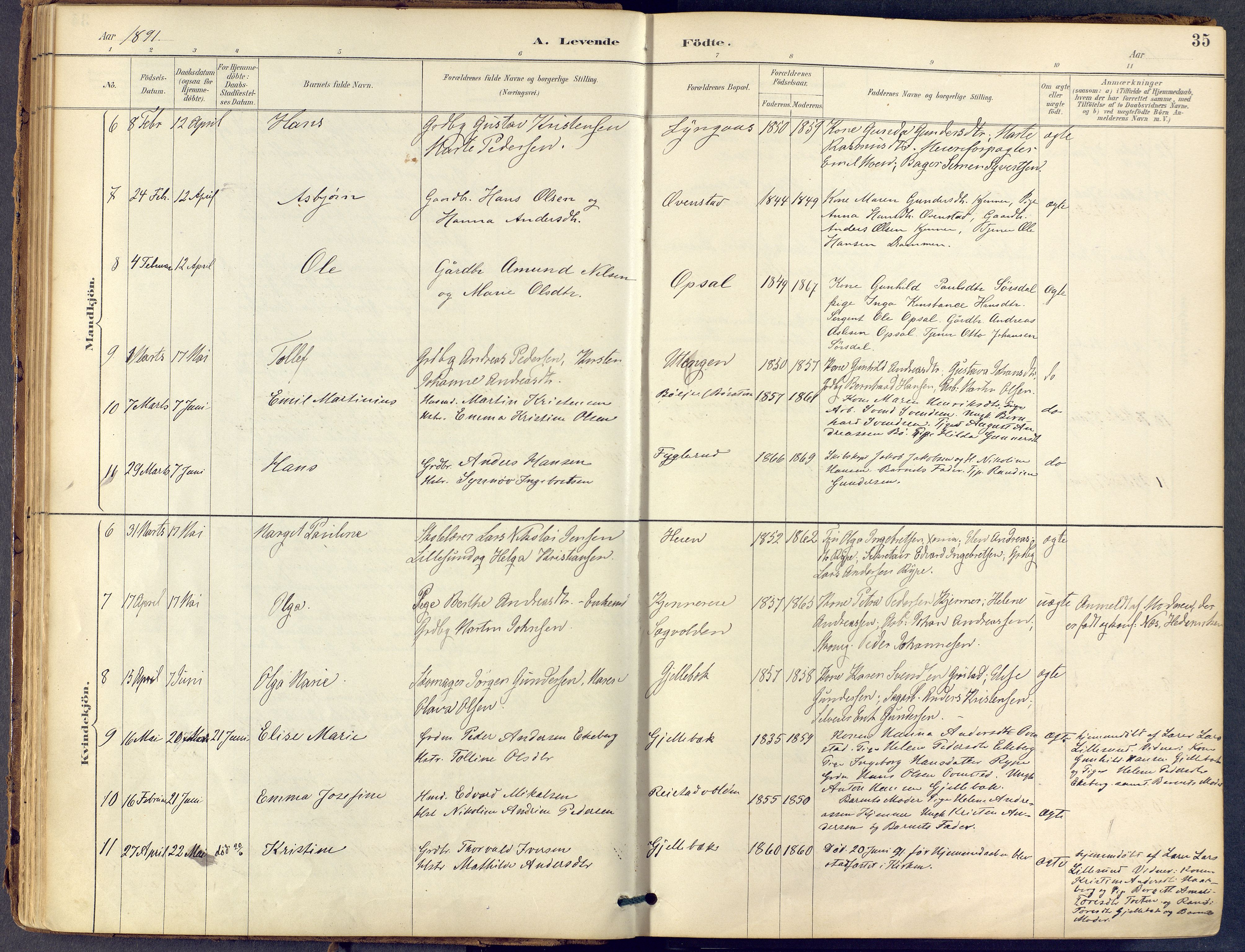 Lier kirkebøker, AV/SAKO-A-230/F/Fb/L0001: Parish register (official) no. II 1, 1883-1910, p. 35