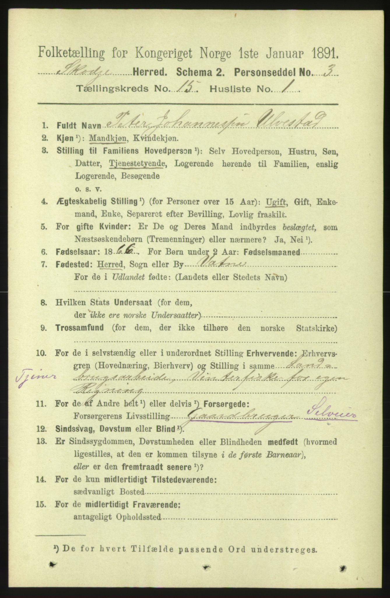 RA, 1891 census for 1529 Skodje, 1891, p. 3210