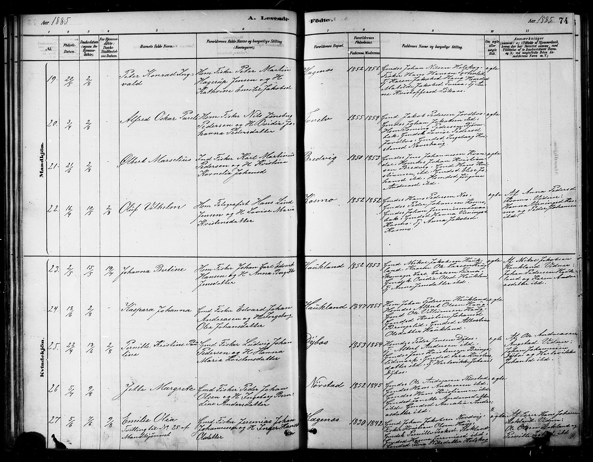 Ministerialprotokoller, klokkerbøker og fødselsregistre - Nordland, AV/SAT-A-1459/852/L0740: Parish register (official) no. 852A10, 1878-1894, p. 74