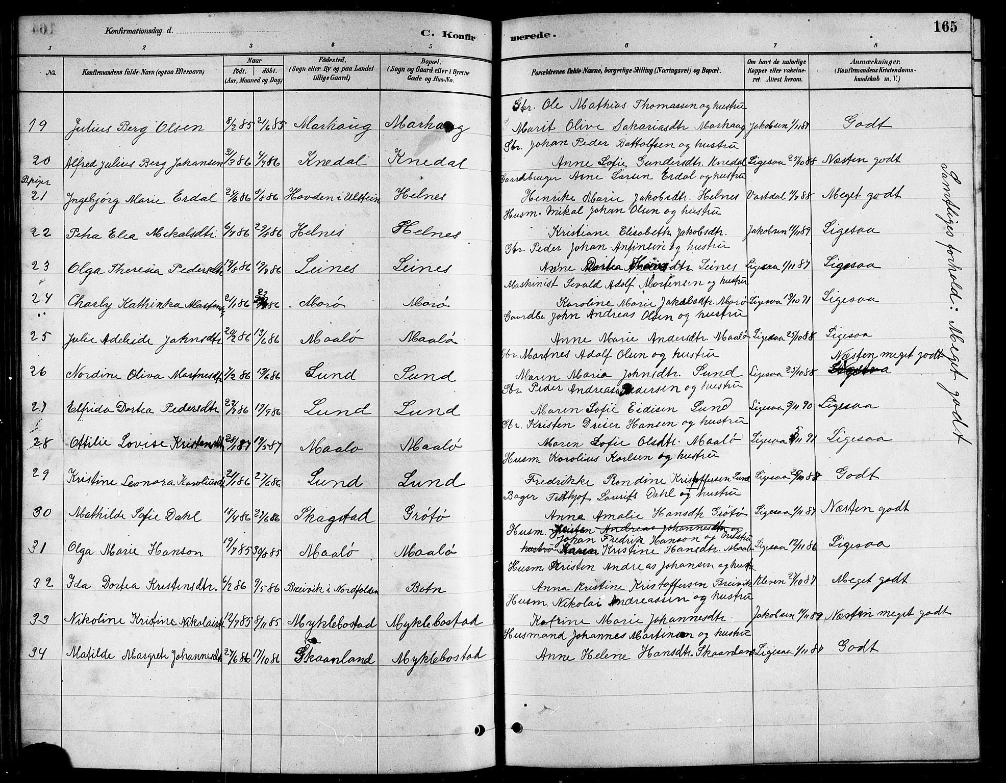 Ministerialprotokoller, klokkerbøker og fødselsregistre - Nordland, AV/SAT-A-1459/857/L0828: Parish register (copy) no. 857C03, 1879-1908, p. 165