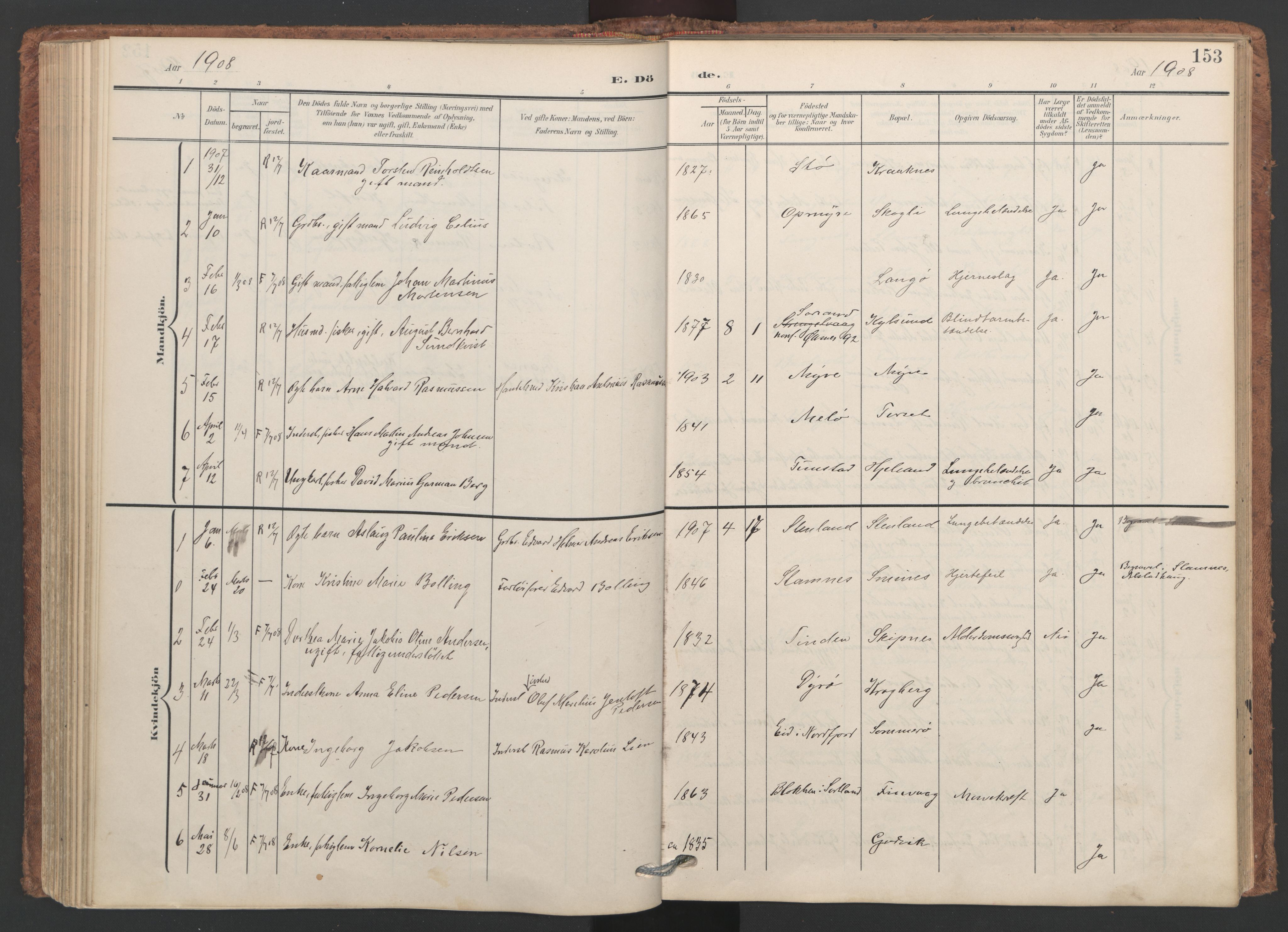 Ministerialprotokoller, klokkerbøker og fødselsregistre - Nordland, SAT/A-1459/893/L1339: Parish register (official) no. 893A11, 1904-1914, p. 153