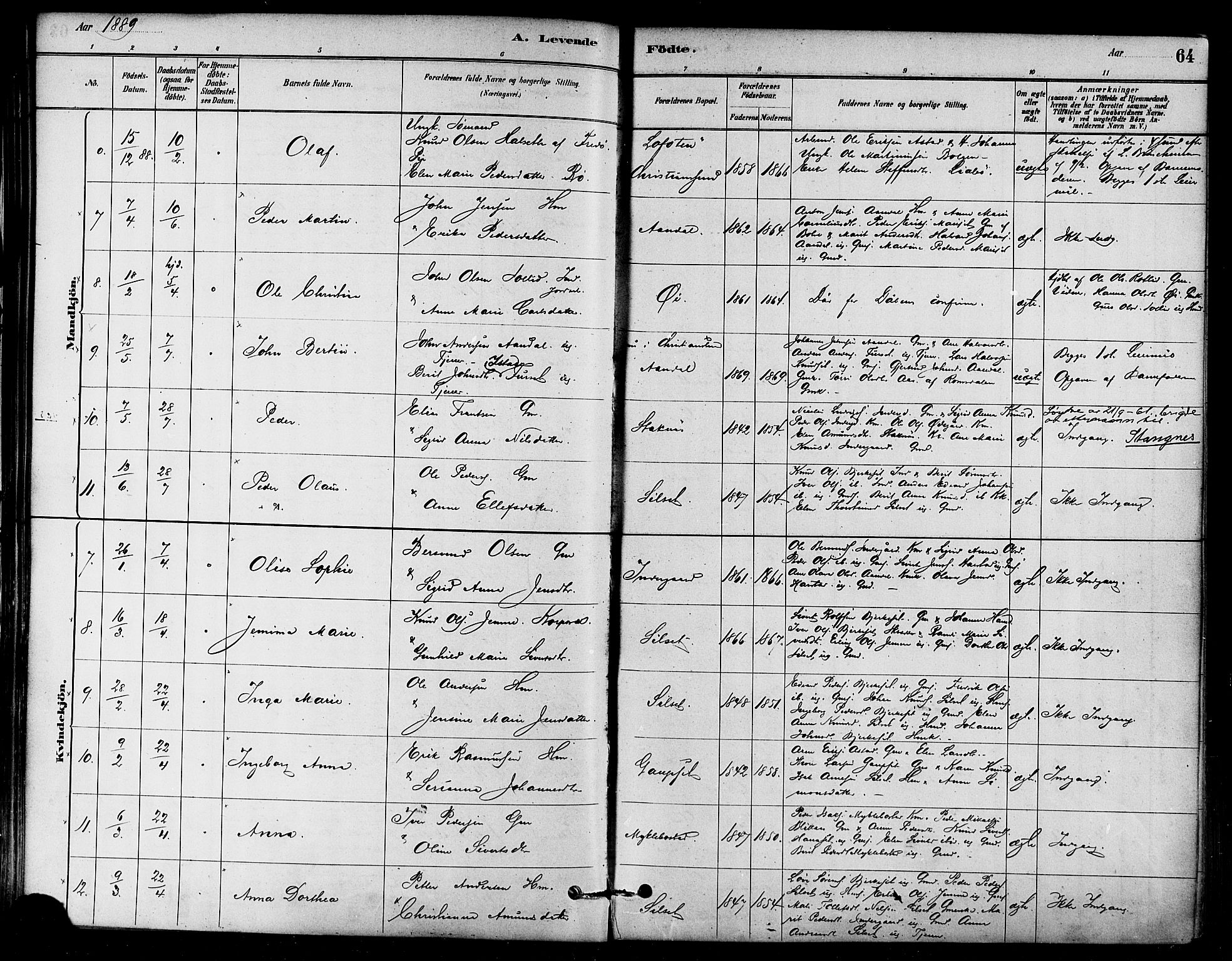 Ministerialprotokoller, klokkerbøker og fødselsregistre - Møre og Romsdal, AV/SAT-A-1454/584/L0967: Parish register (official) no. 584A07, 1879-1894, p. 64