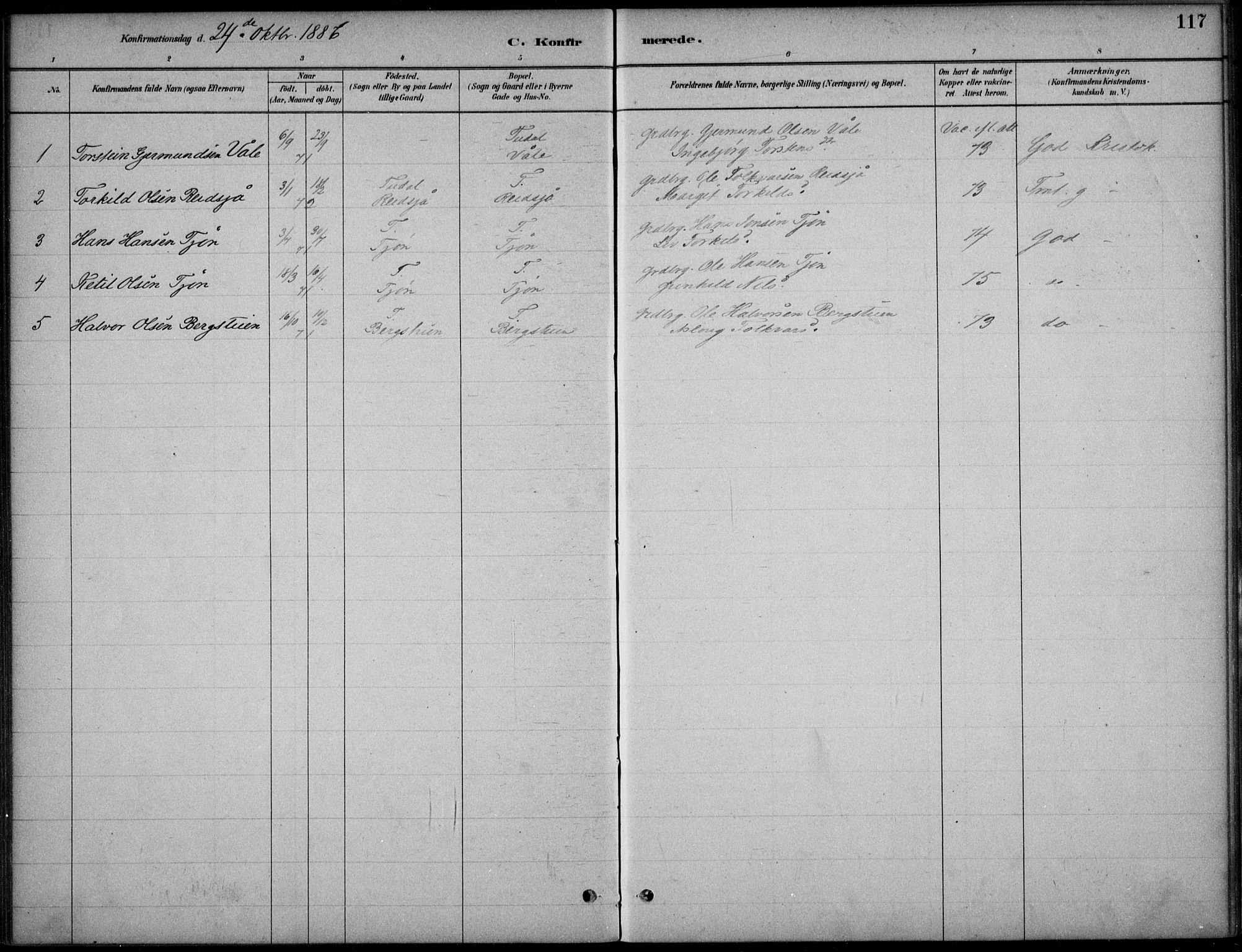 Hjartdal kirkebøker, SAKO/A-270/F/Fc/L0002: Parish register (official) no. III 2, 1880-1936, p. 117