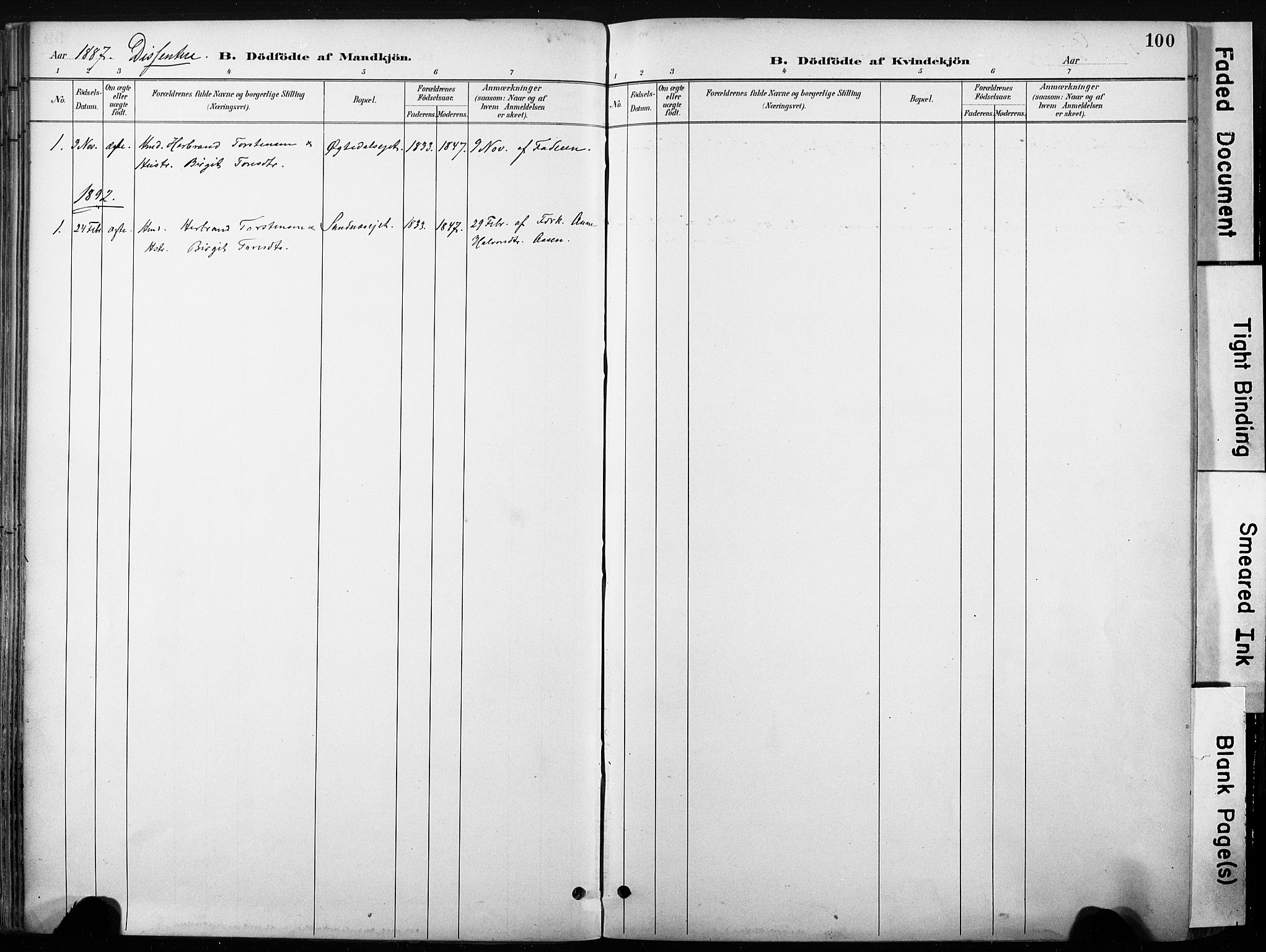Nore kirkebøker, SAKO/A-238/F/Fb/L0002: Parish register (official) no. II 2, 1886-1906, p. 100