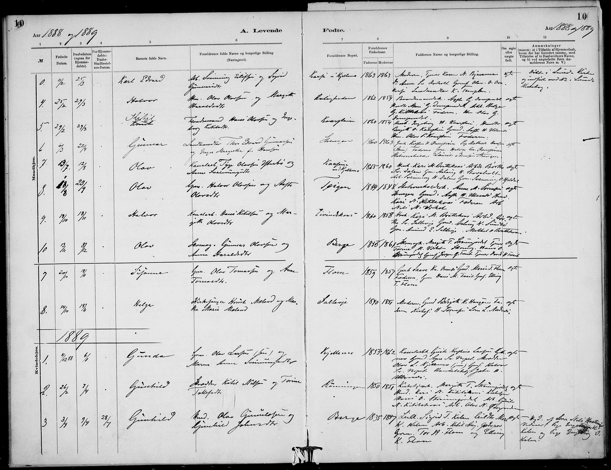 Lunde kirkebøker, SAKO/A-282/F/Fb/L0003: Parish register (official) no. II 3, 1882-1891, p. 10