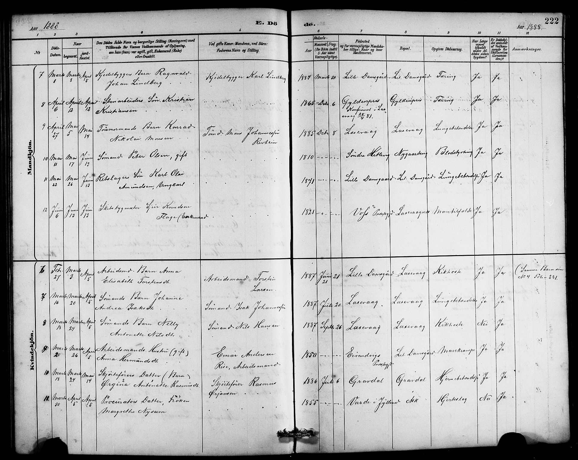 Laksevåg Sokneprestembete, SAB/A-76501/H/Ha/Hab/Haba/L0003: Parish register (copy) no. A 3, 1887-1899, p. 222