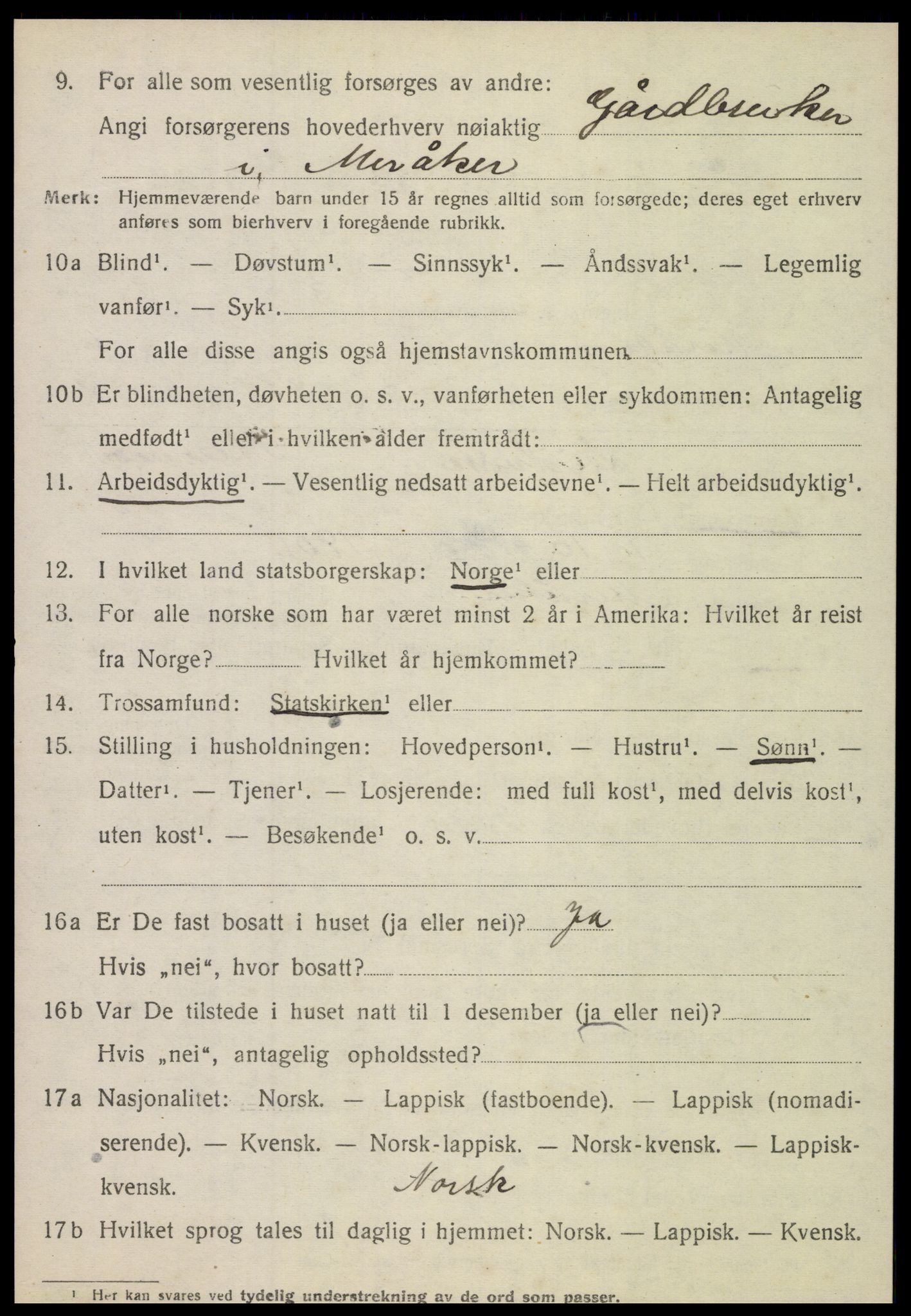 SAT, 1920 census for Meråker, 1920, p. 4531