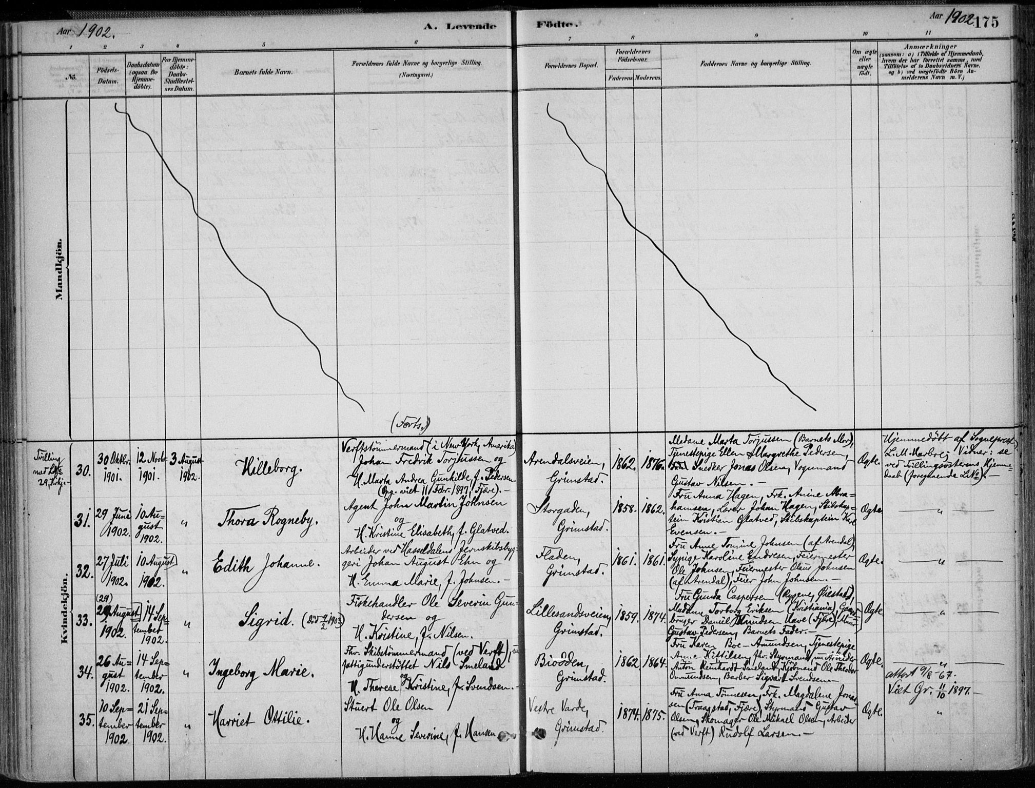 Grimstad sokneprestkontor, AV/SAK-1111-0017/F/Fa/L0003: Parish register (official) no. A 2, 1882-1912, p. 175