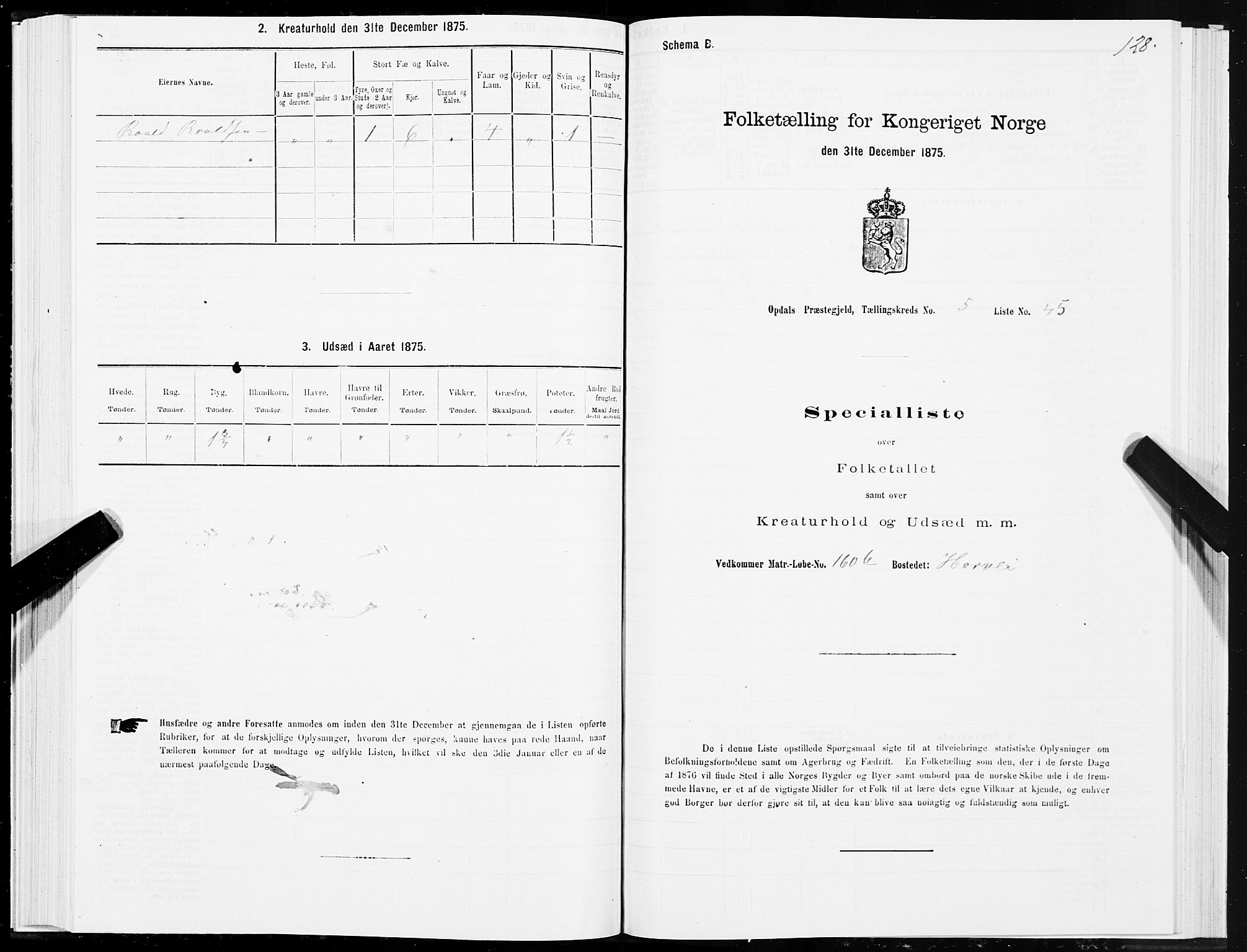 SAT, 1875 census for 1634P Oppdal, 1875, p. 3128