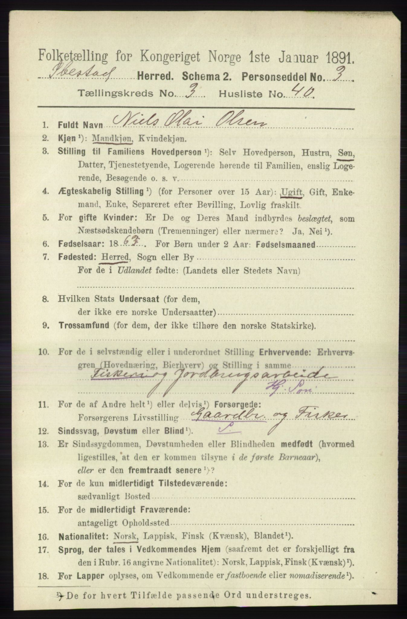 RA, 1891 census for 1917 Ibestad, 1891, p. 1999