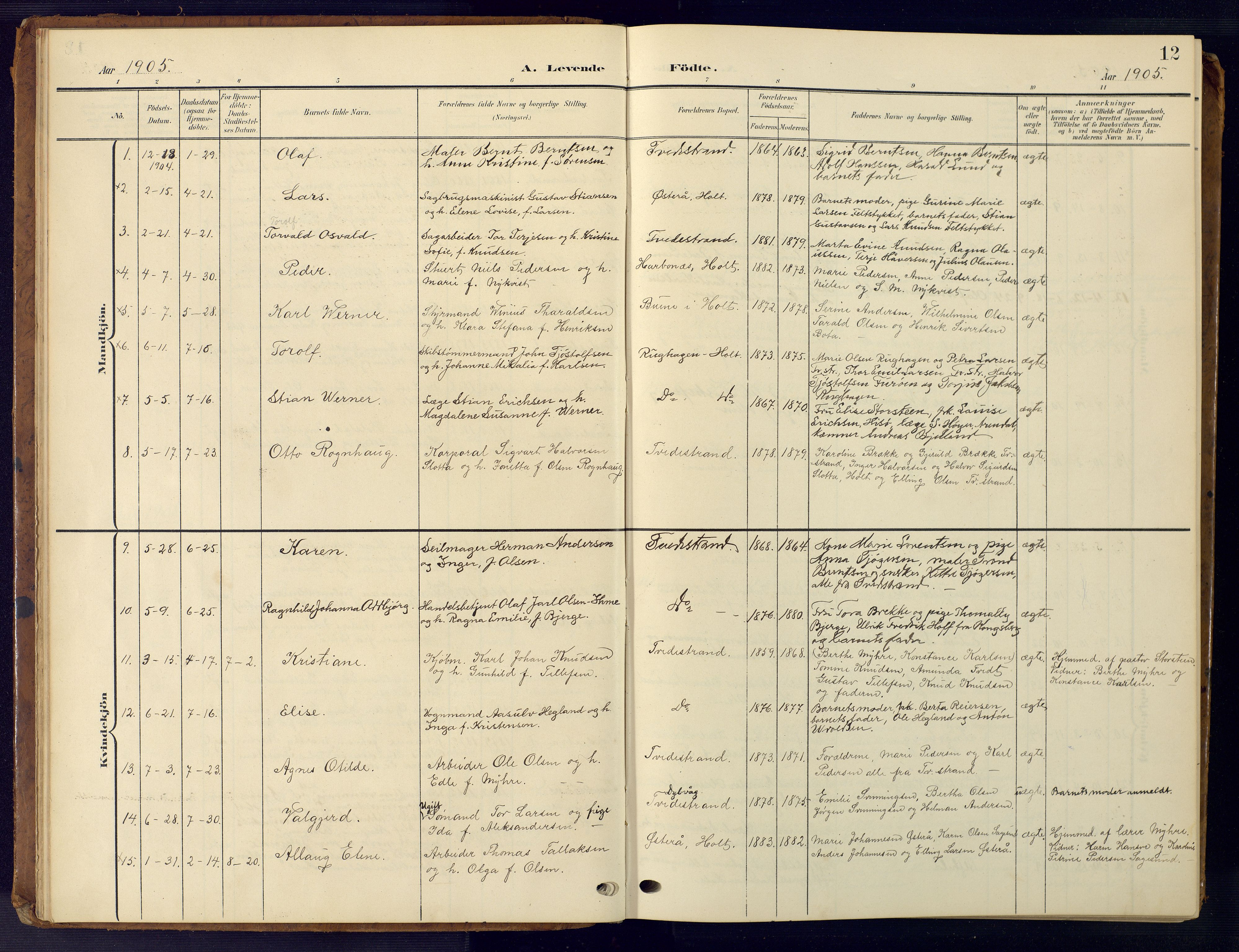 Tvedestrand sokneprestkontor, AV/SAK-1111-0042/F/Fb/L0001: Parish register (copy) no. B 1, 1902-1956, p. 12
