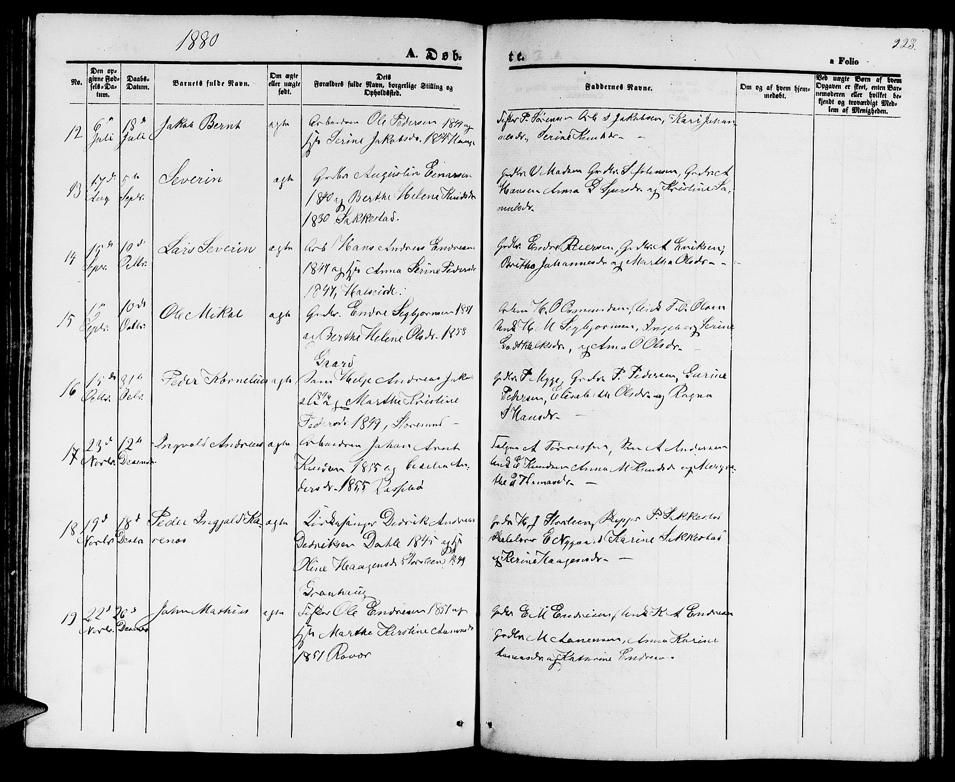 Haugesund sokneprestkontor, AV/SAST-A -101863/H/Ha/Hab/L0001: Parish register (copy) no. B 1, 1873-1881, p. 223