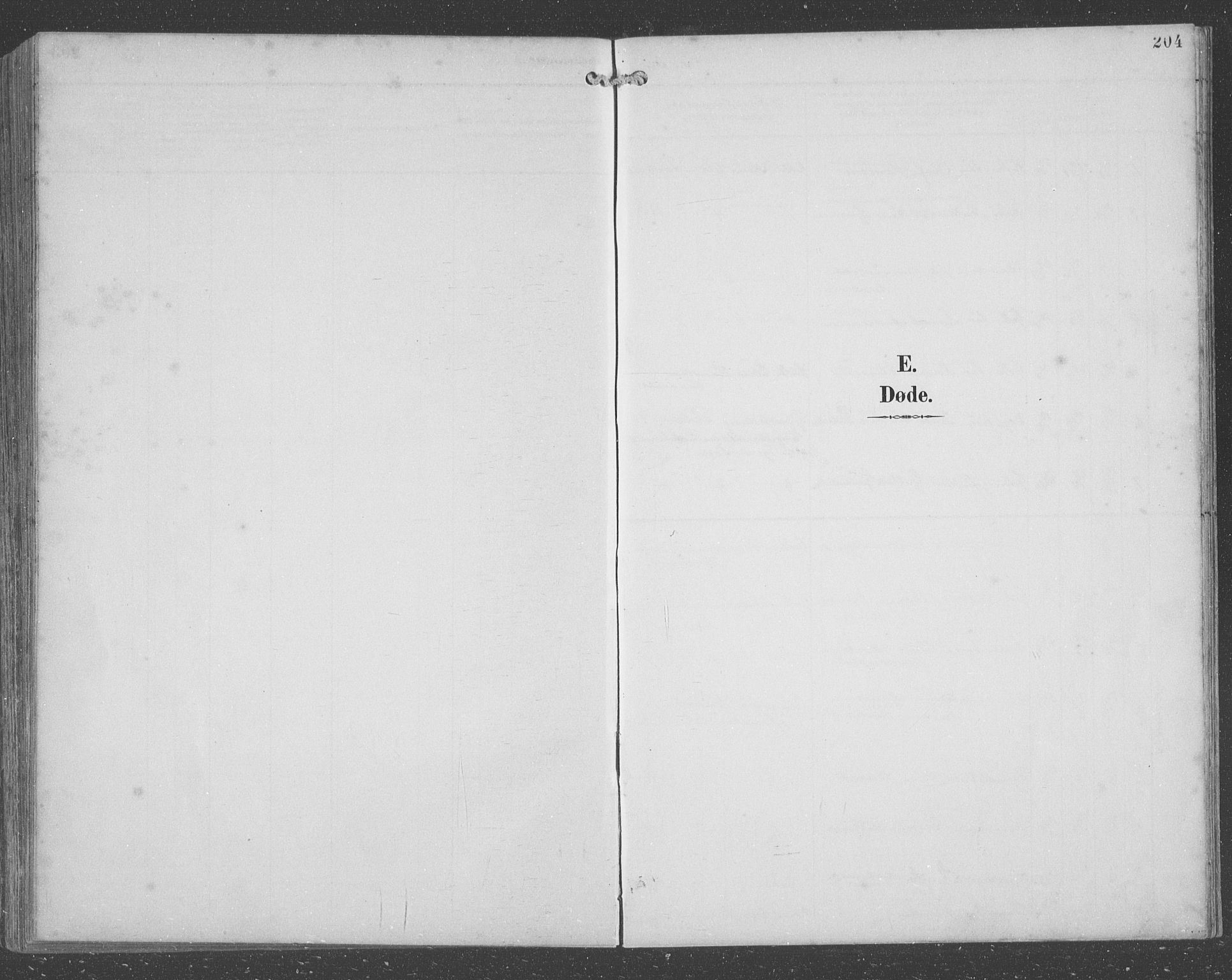Lindås Sokneprestembete, SAB/A-76701/H/Hab: Parish register (copy) no. C 4, 1894-1910, p. 204