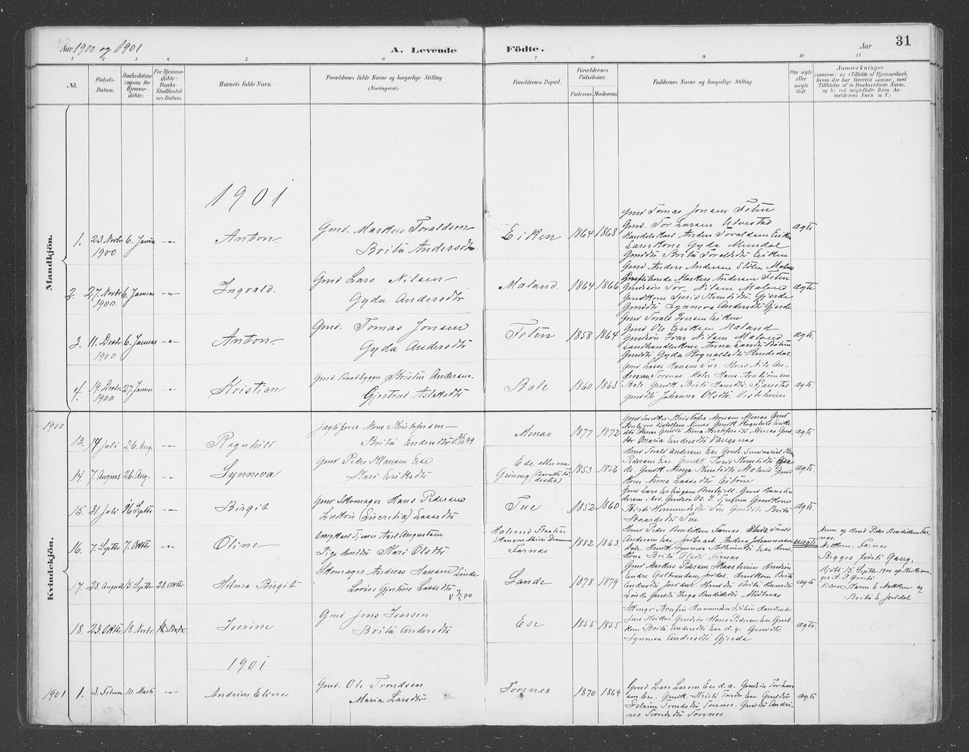 Balestrand sokneprestembete, SAB/A-79601/H/Haa/Haab/L0001: Parish register (official) no. B  1, 1889-1910, p. 31