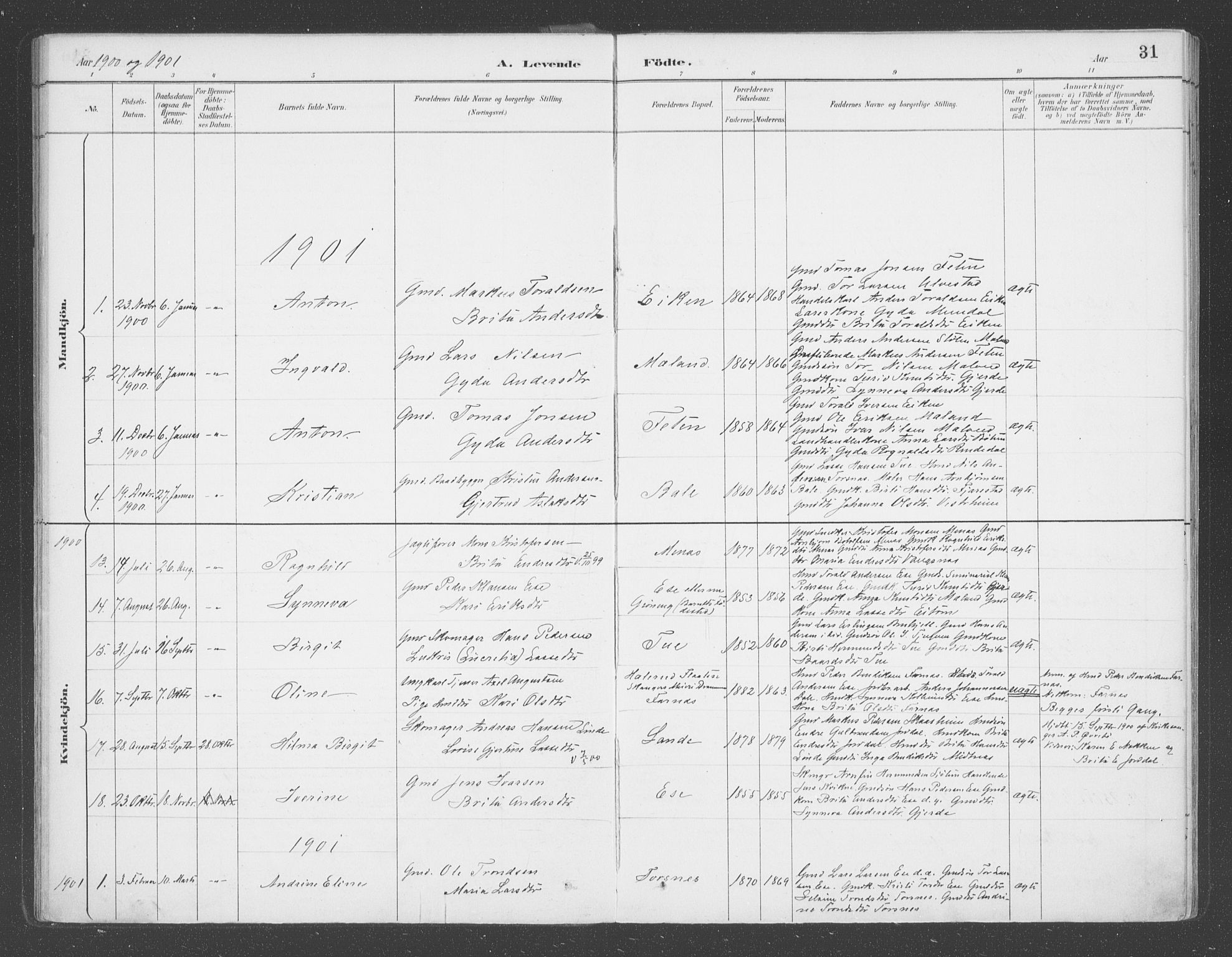 Balestrand sokneprestembete, AV/SAB-A-79601/H/Haa/Haab/L0001: Parish register (official) no. B  1, 1889-1910, p. 31